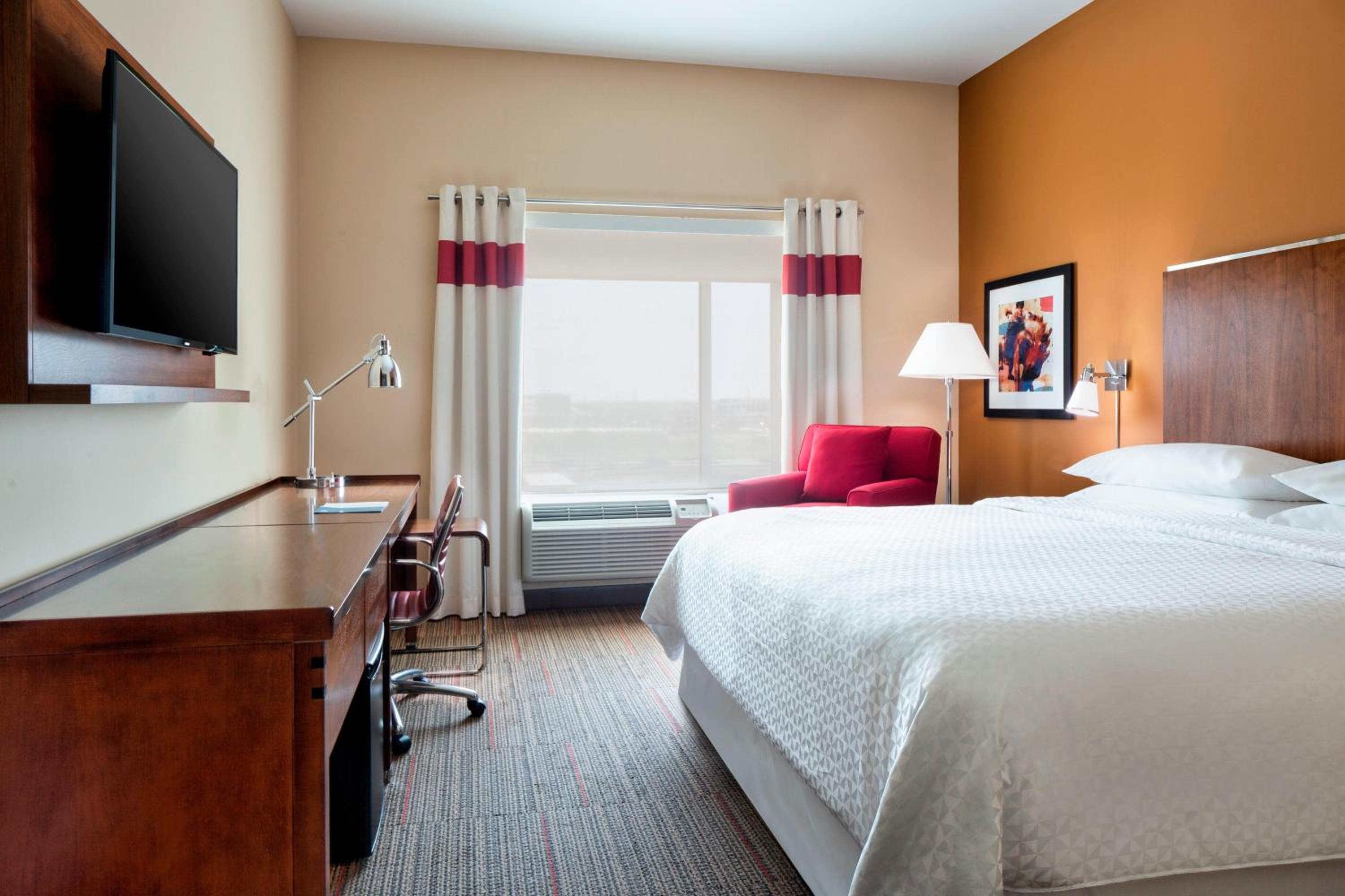 King Room photo 1