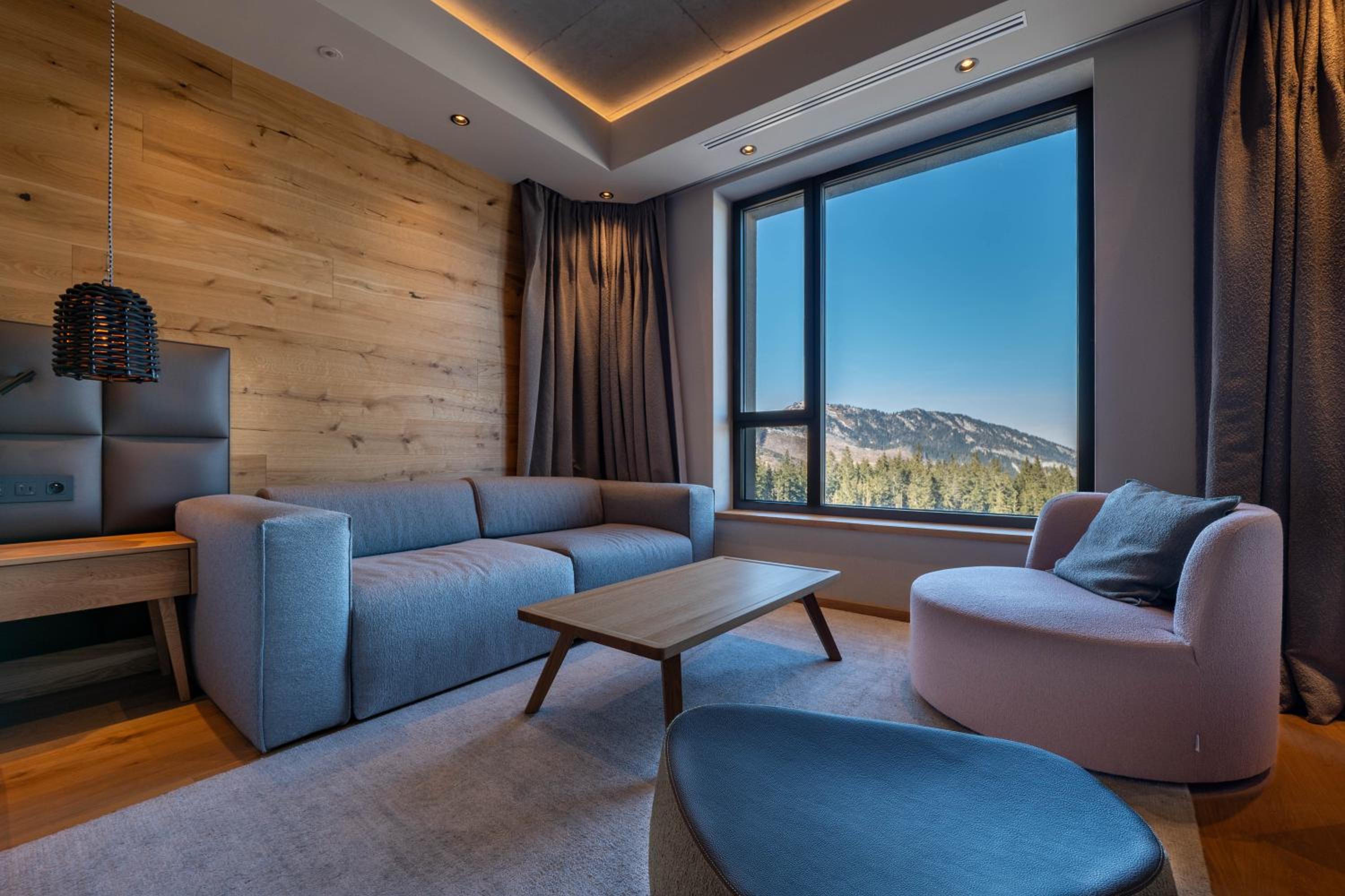 One-Bedroom Apartment With Valley View