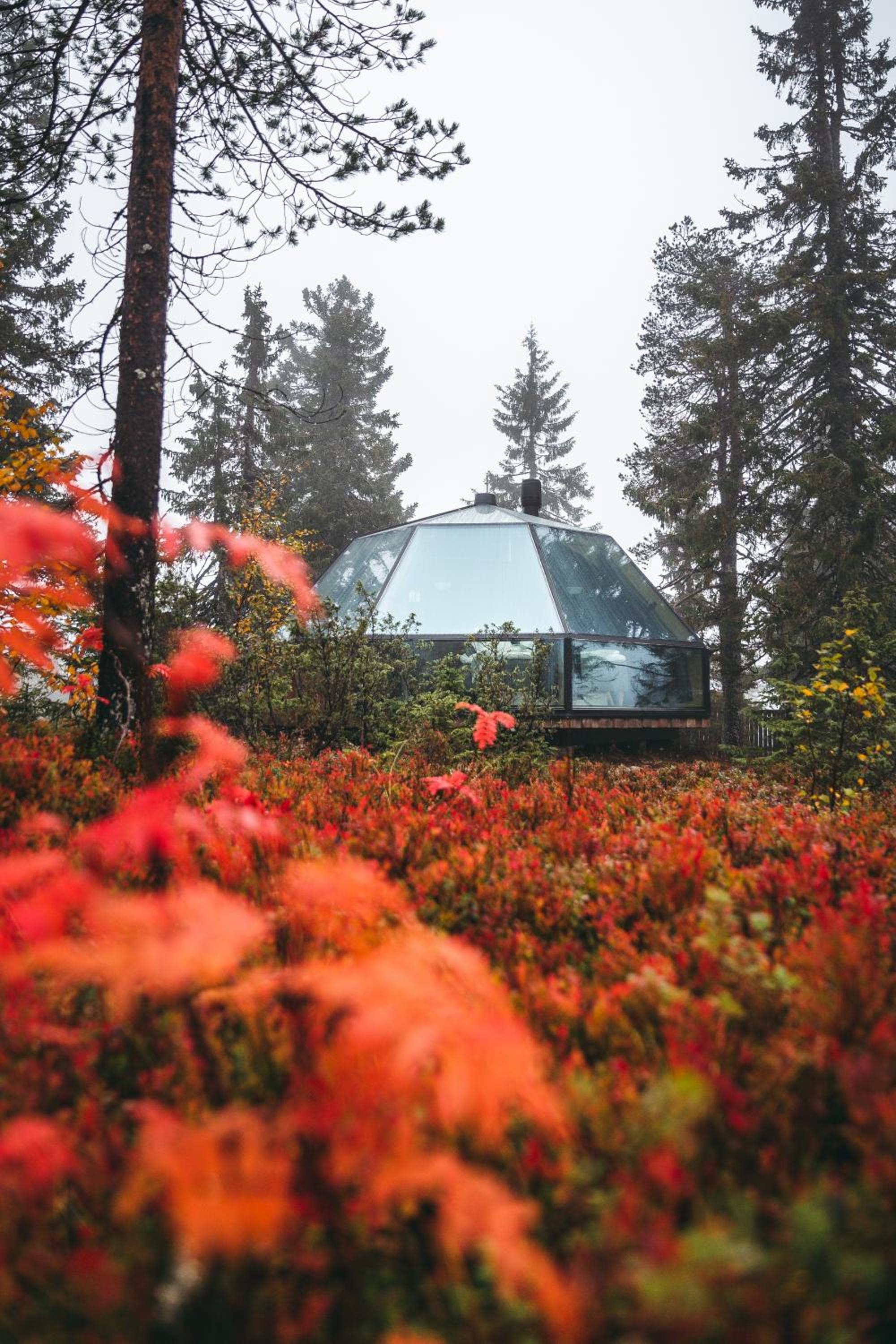 Igloo - Photo 5