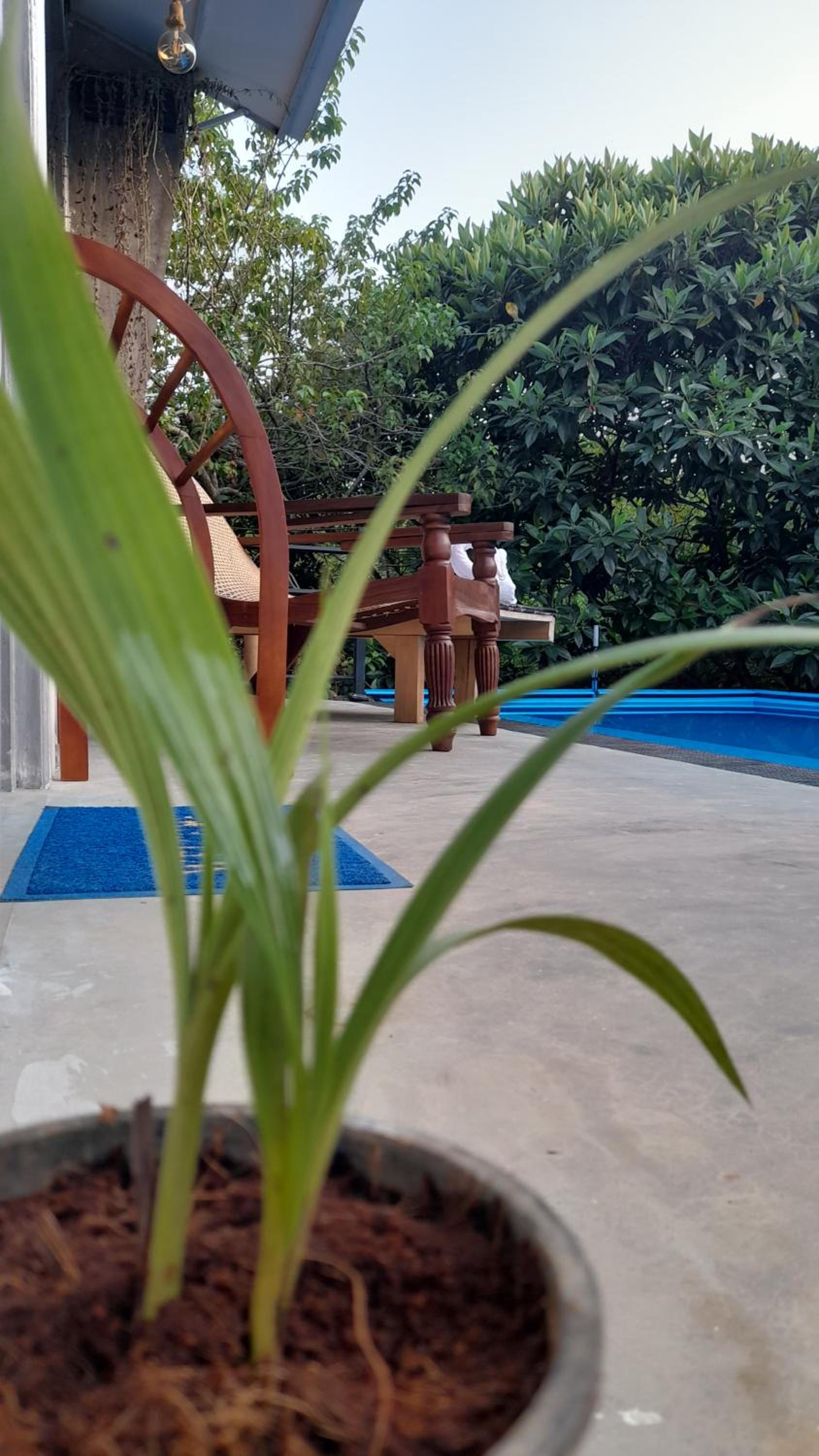 Double Room with Pool View photo 3