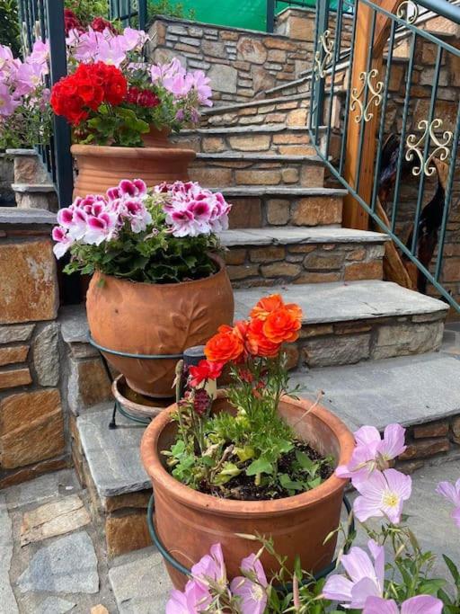 Vacation Home photo 3