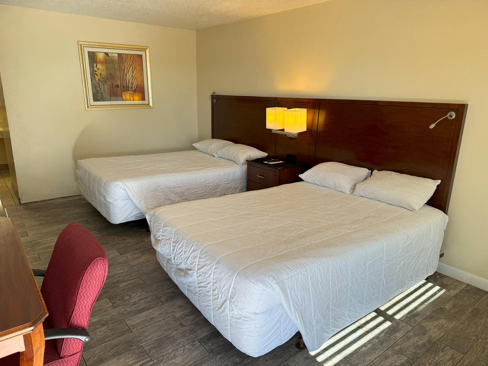 Double Room photo 1
