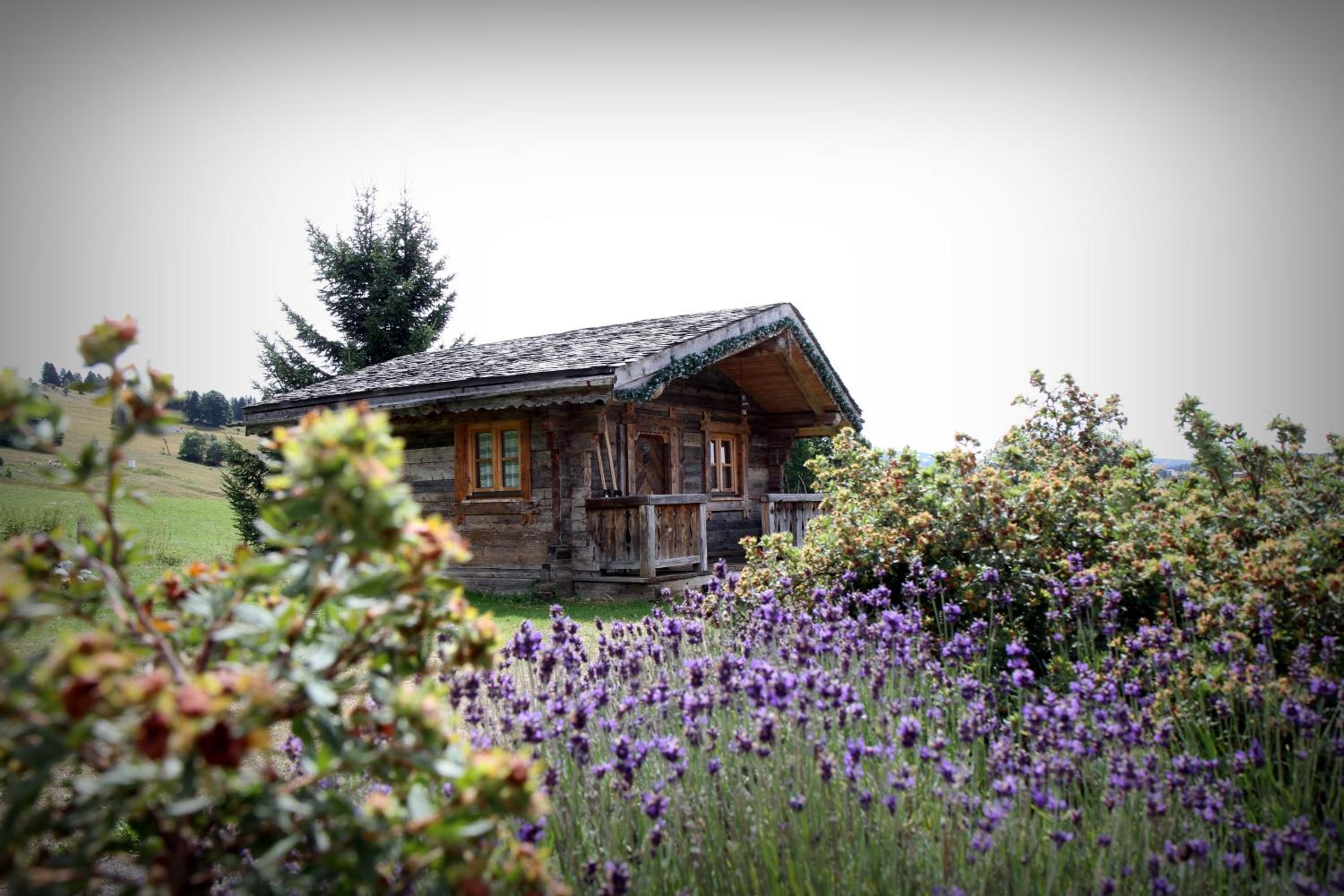 Chalet (2 Adults) photo 3