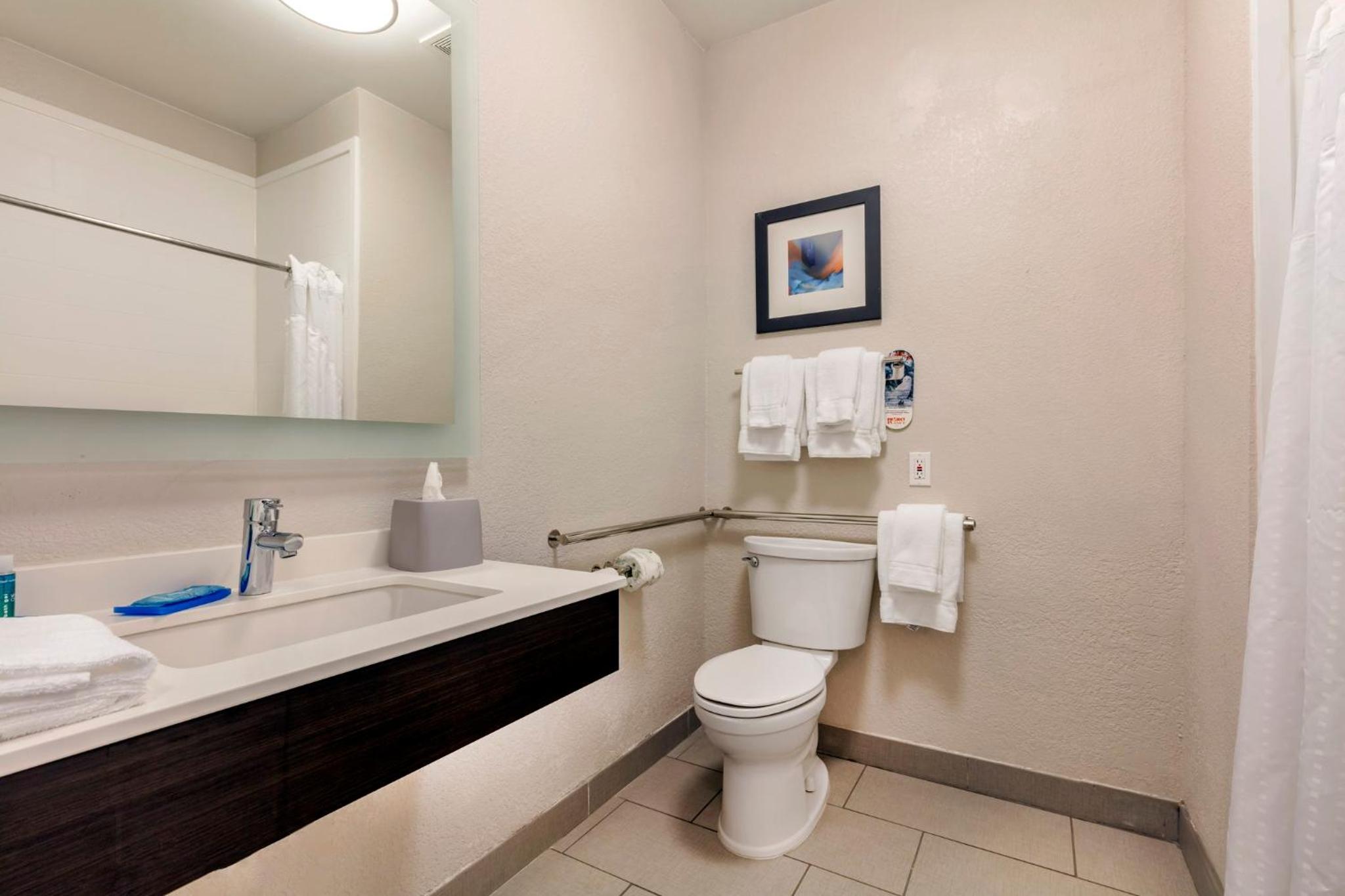 King Room with Roll-In Shower - Disability Access - Photo 5
