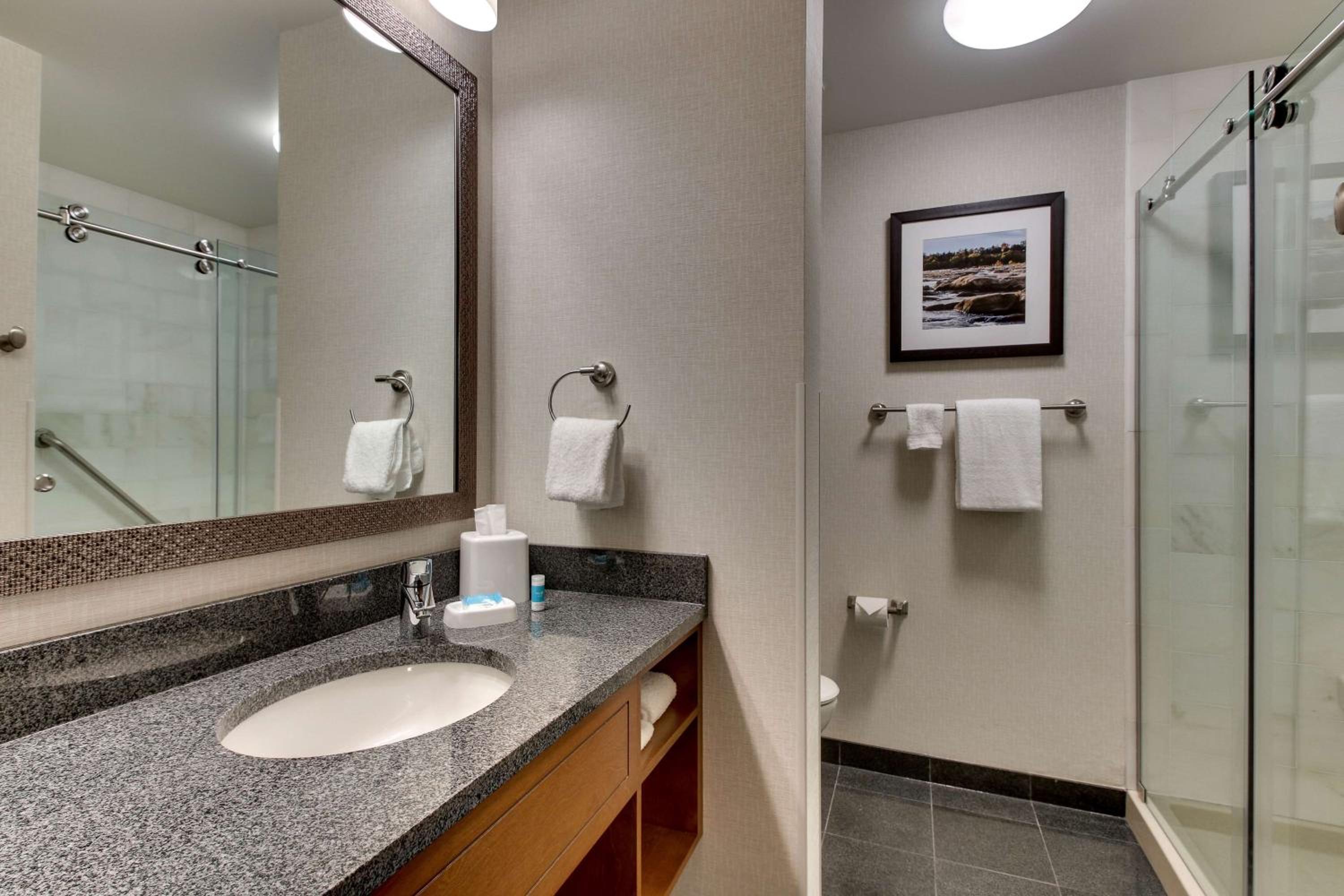 Superior King Suite with Soaking Tub photo 3