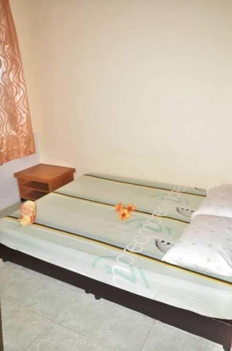 Three-Bedroom House photo 3