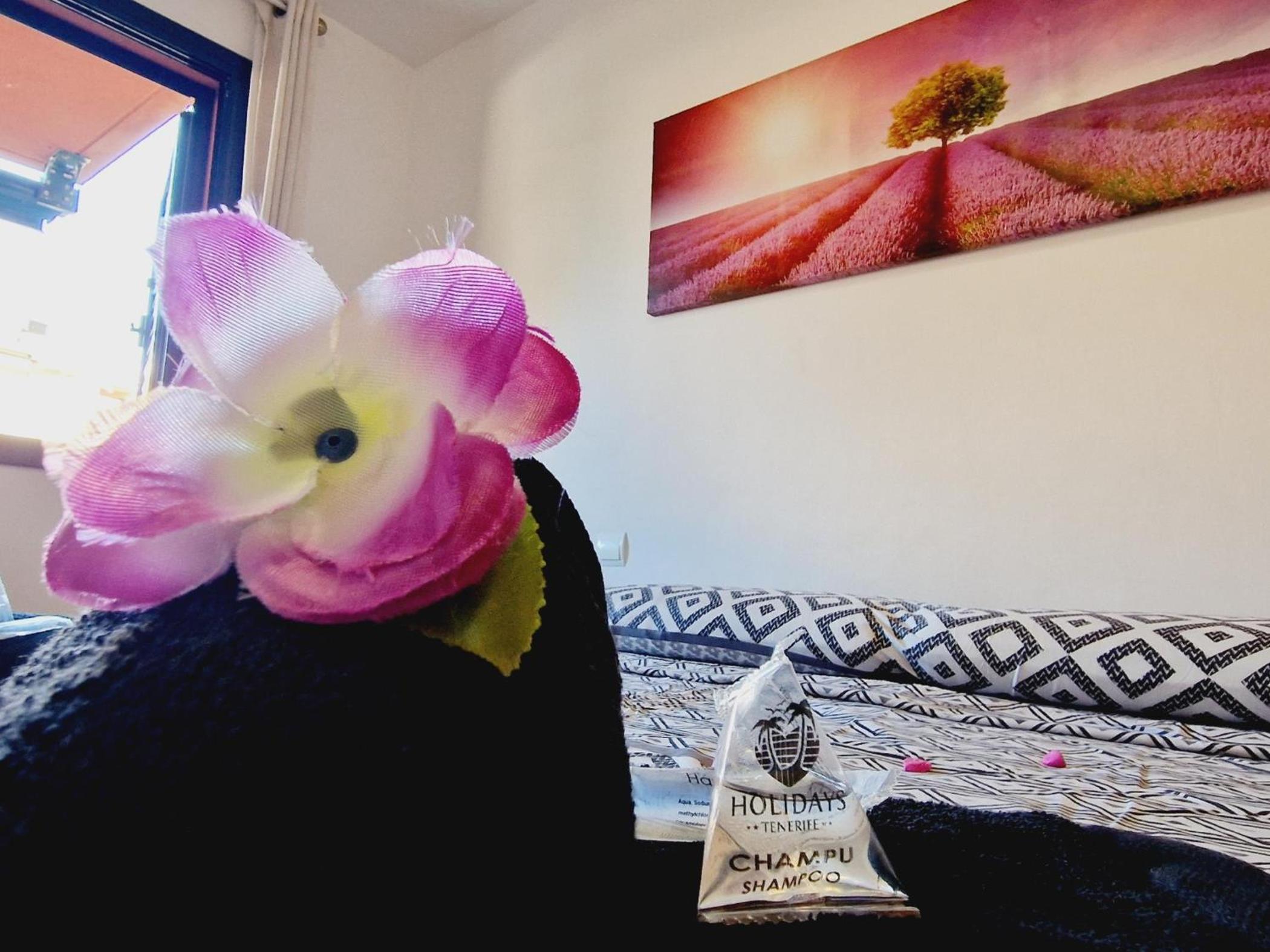 Apartment photo 2