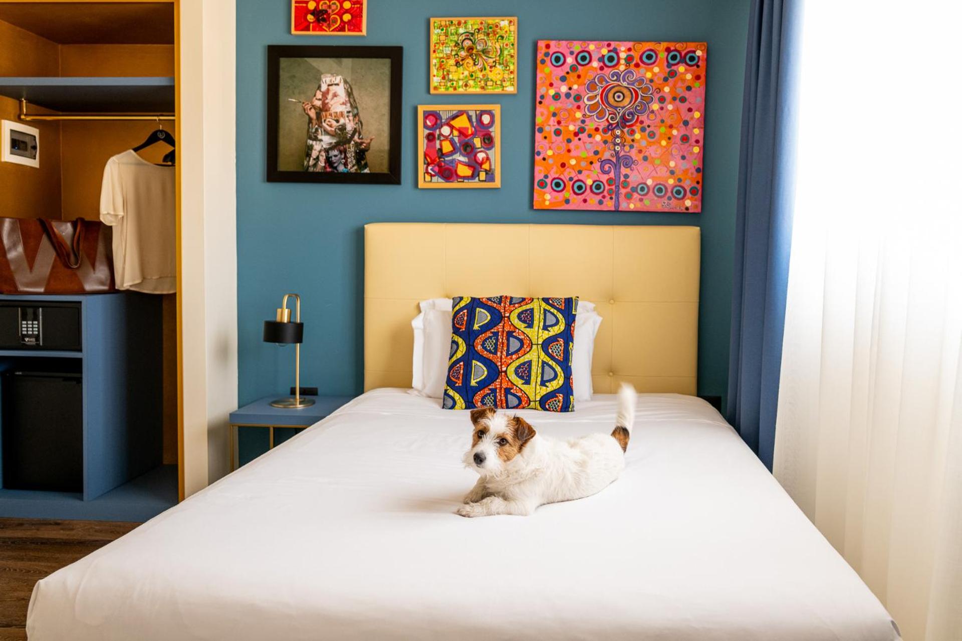 Small Single Room photo 1