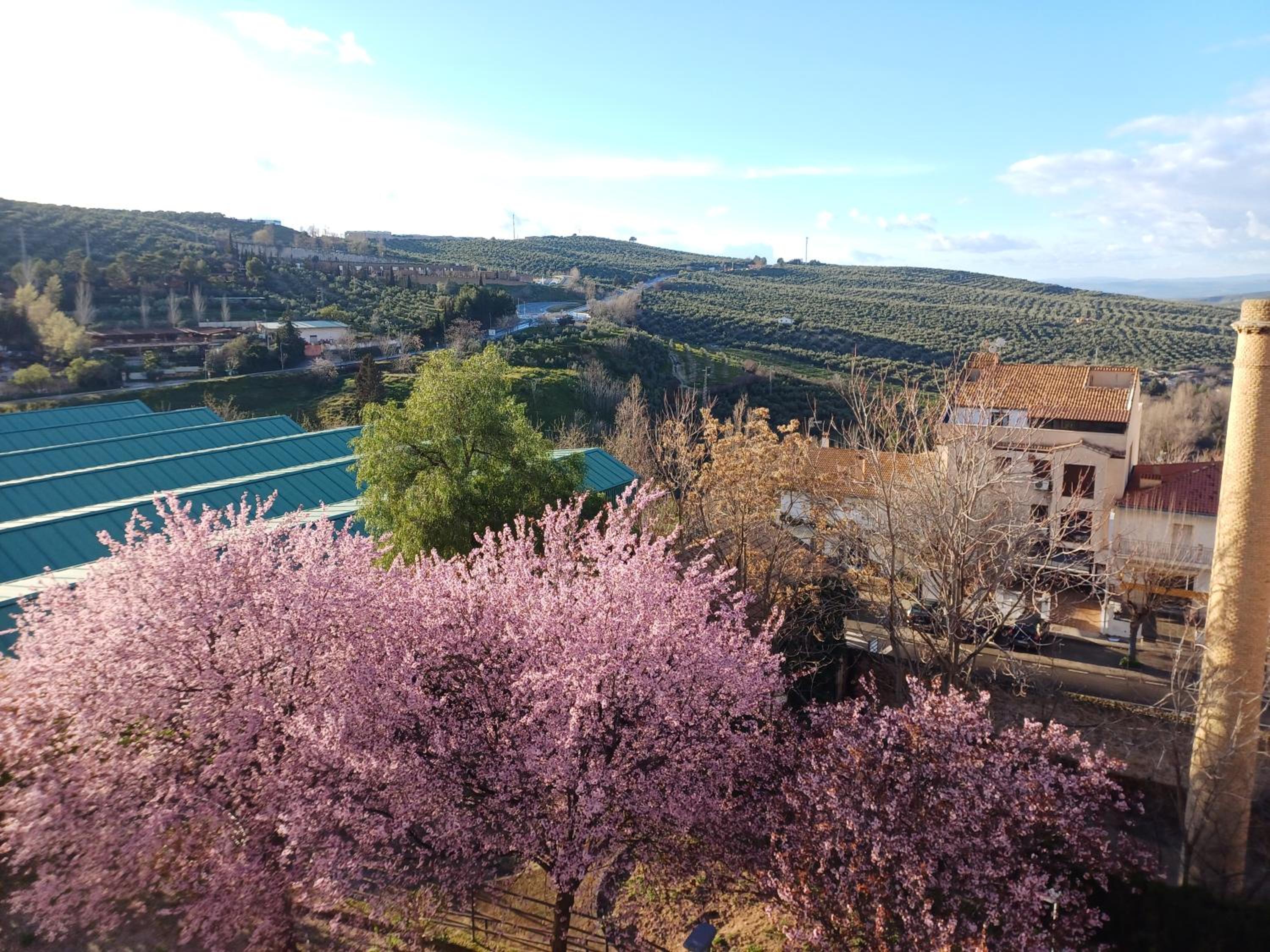 Cazorla LIVE, Foto 29