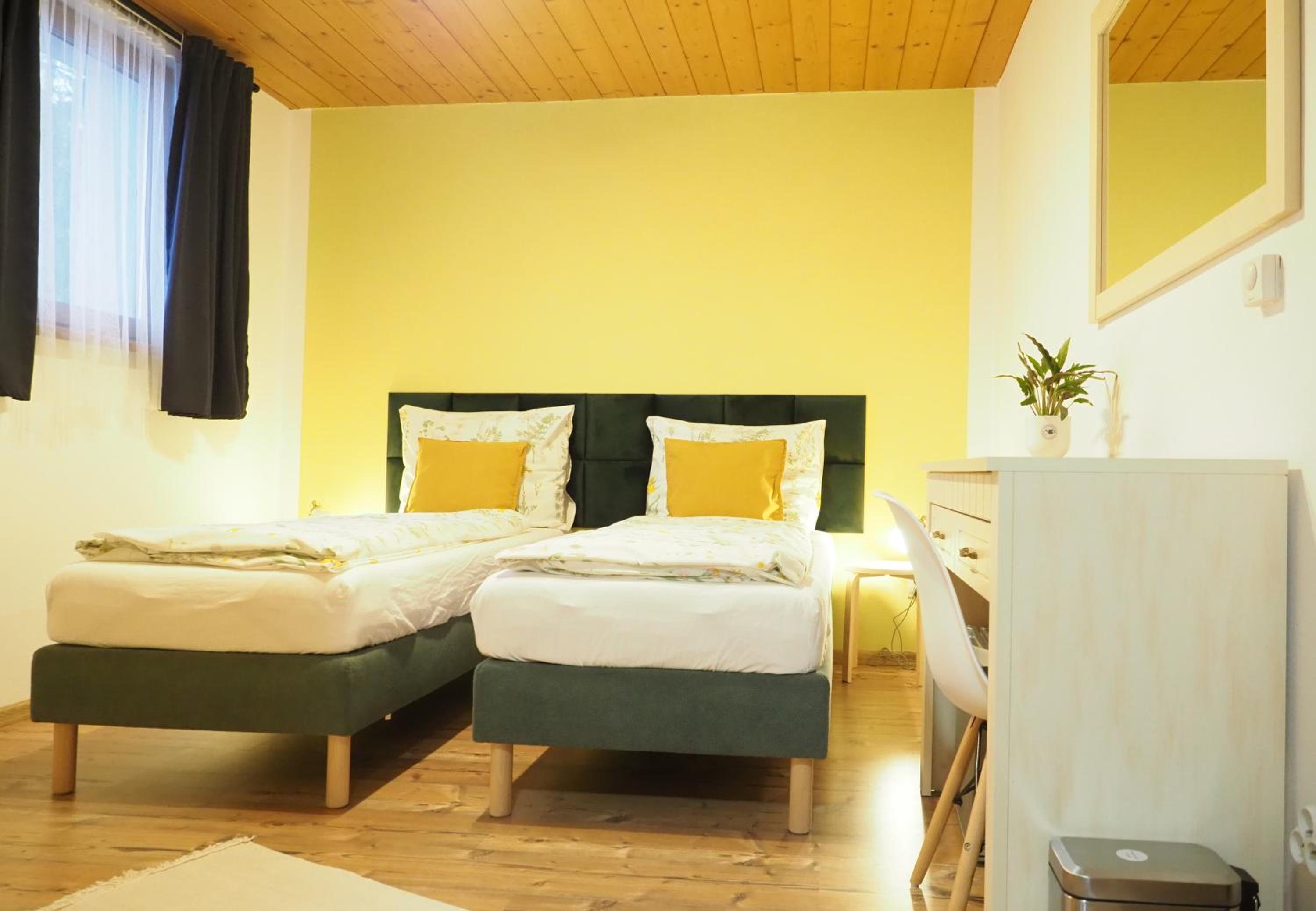 Twin Room with Mountain View photo 3