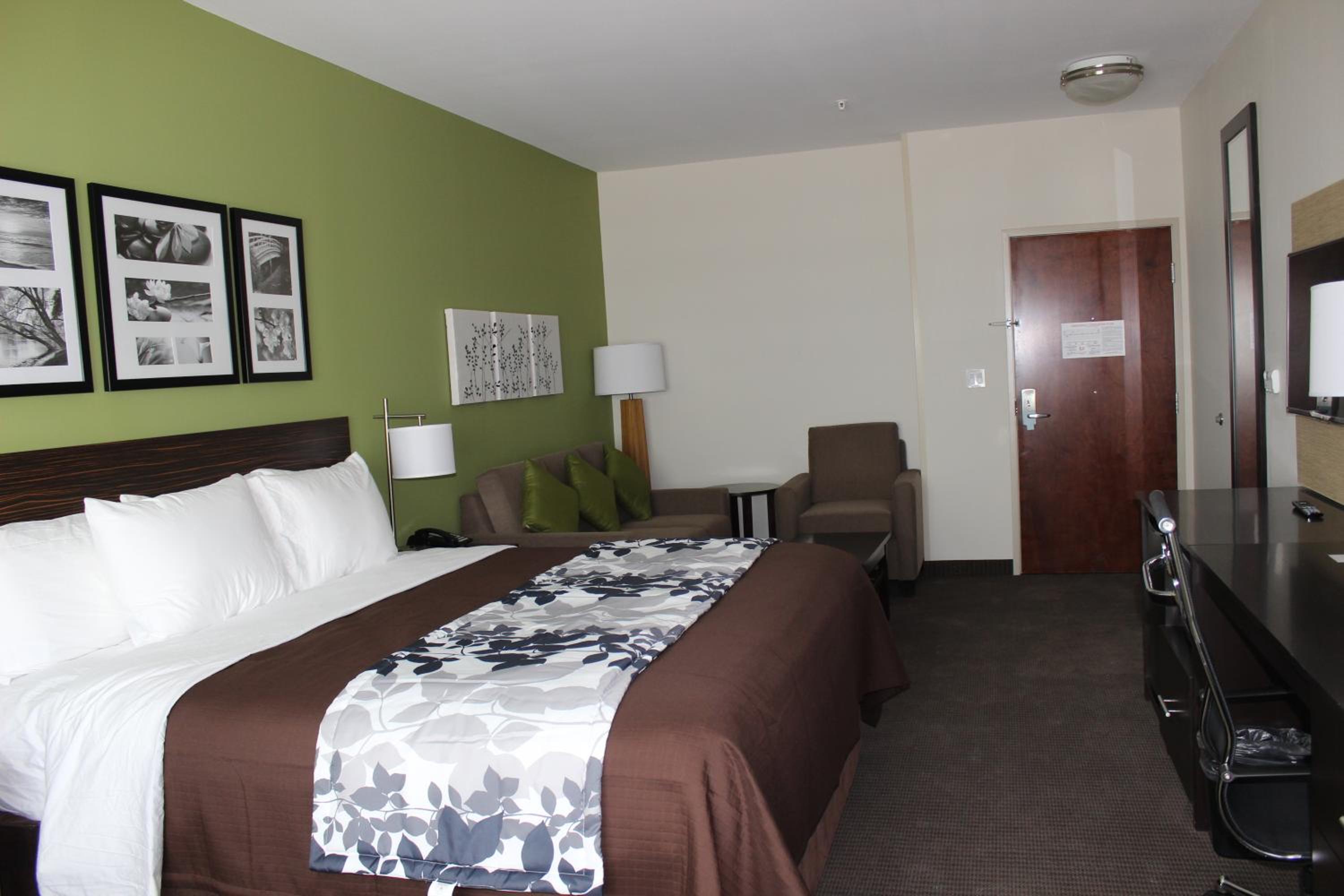 King Suite with Sofa Bed - Non-Smoking photo 1