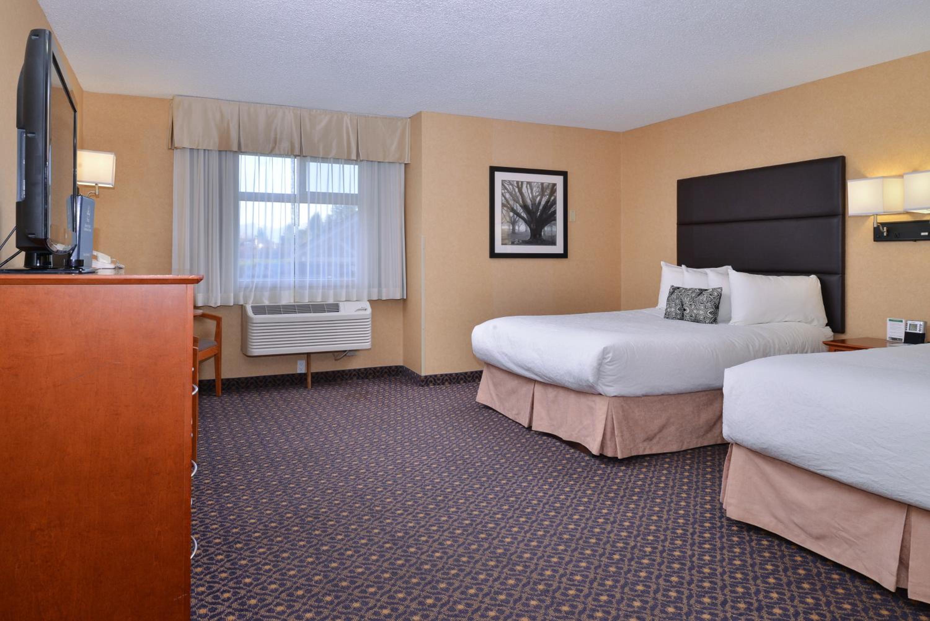 Large Family Suite - Non-Smoking