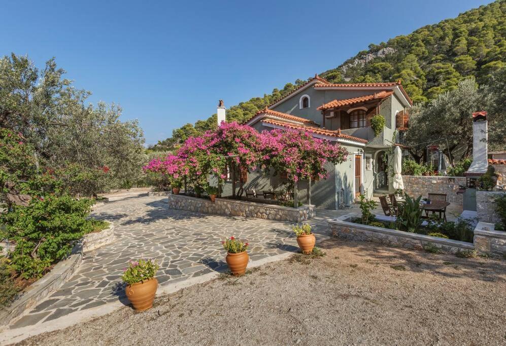 Villa photo 2