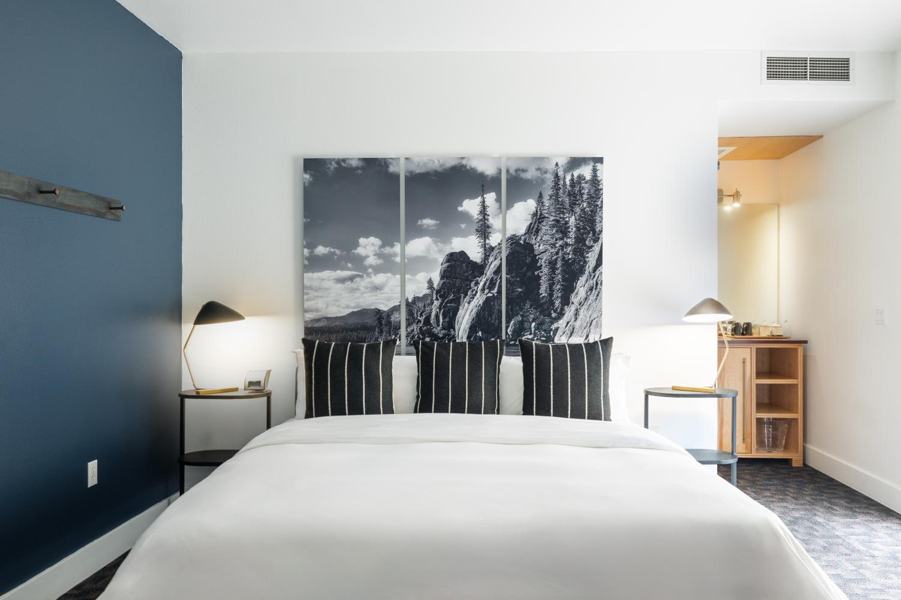 Premium King + Twin Sleeper photo 3