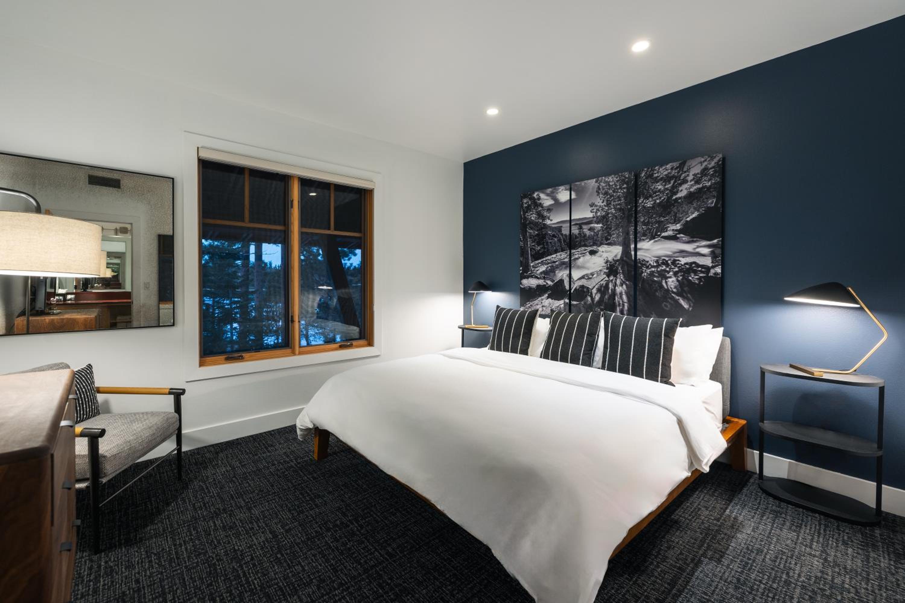 One Bedroom King Suite photo 1