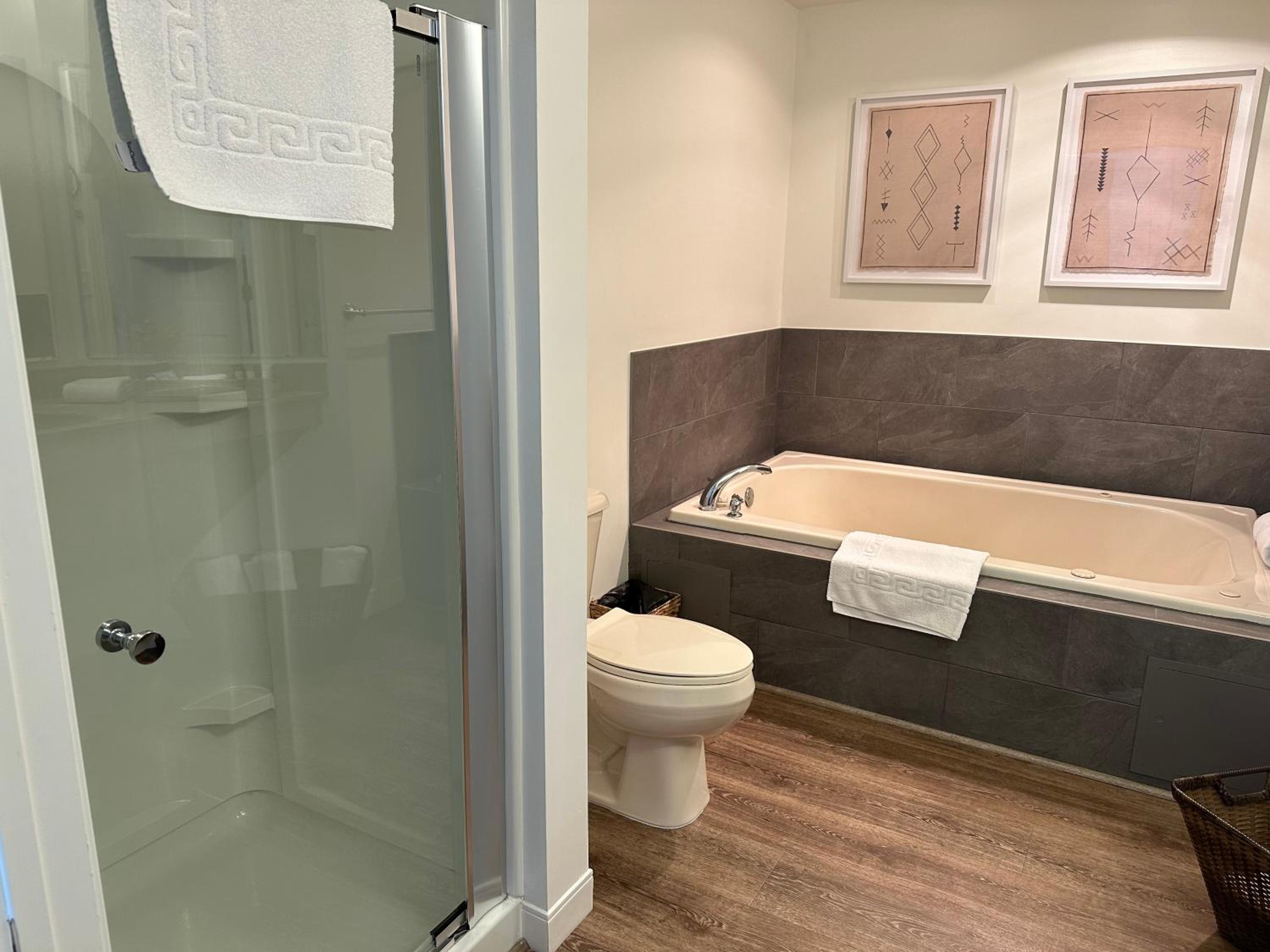 Deluxe King Suite photo 3
