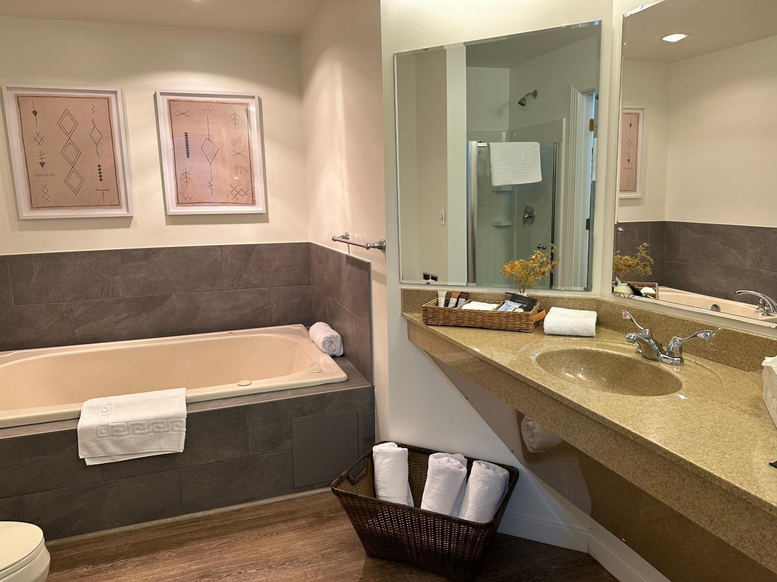 Deluxe King Suite photo 2