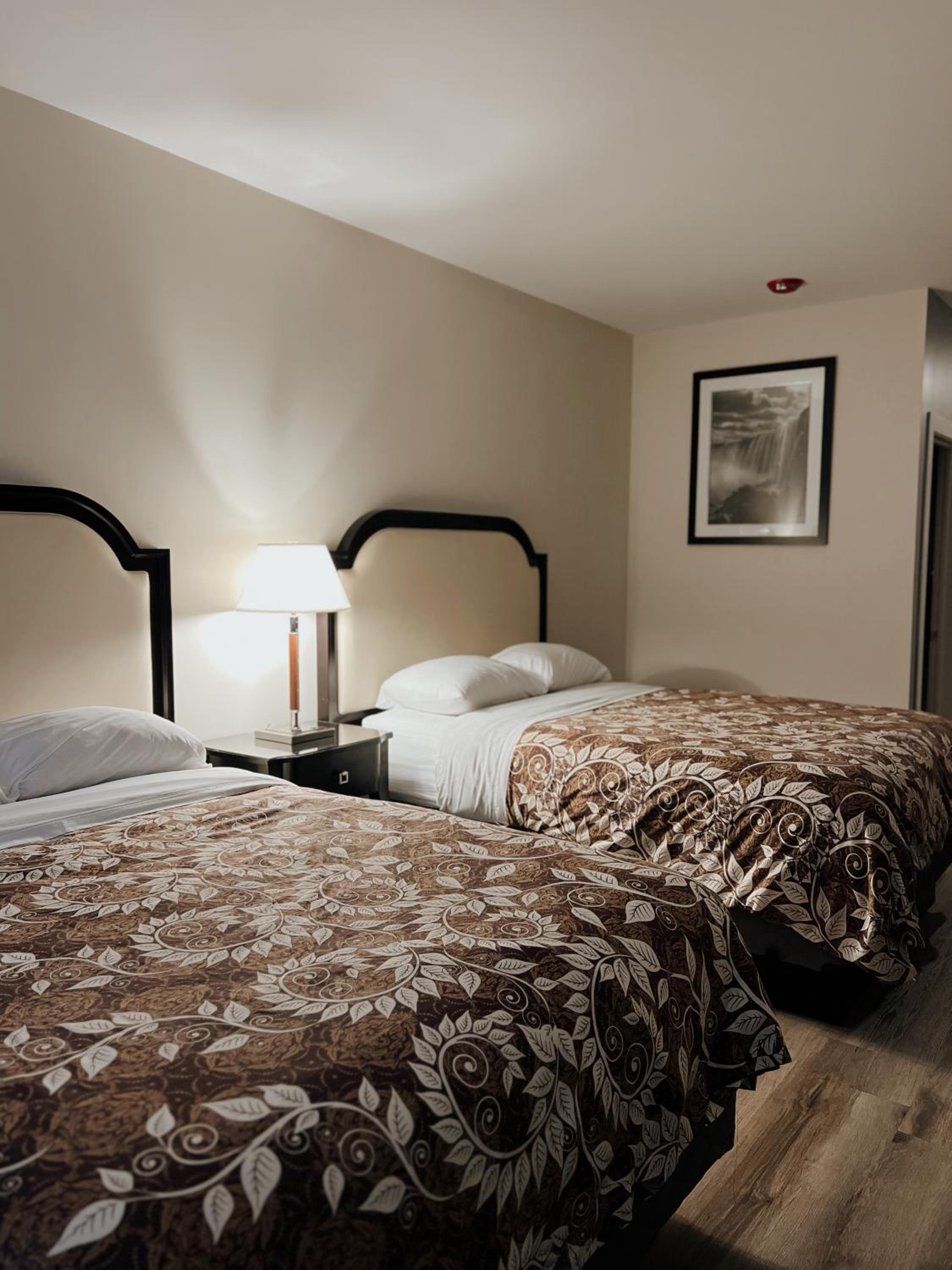 Large Double Room photo 1