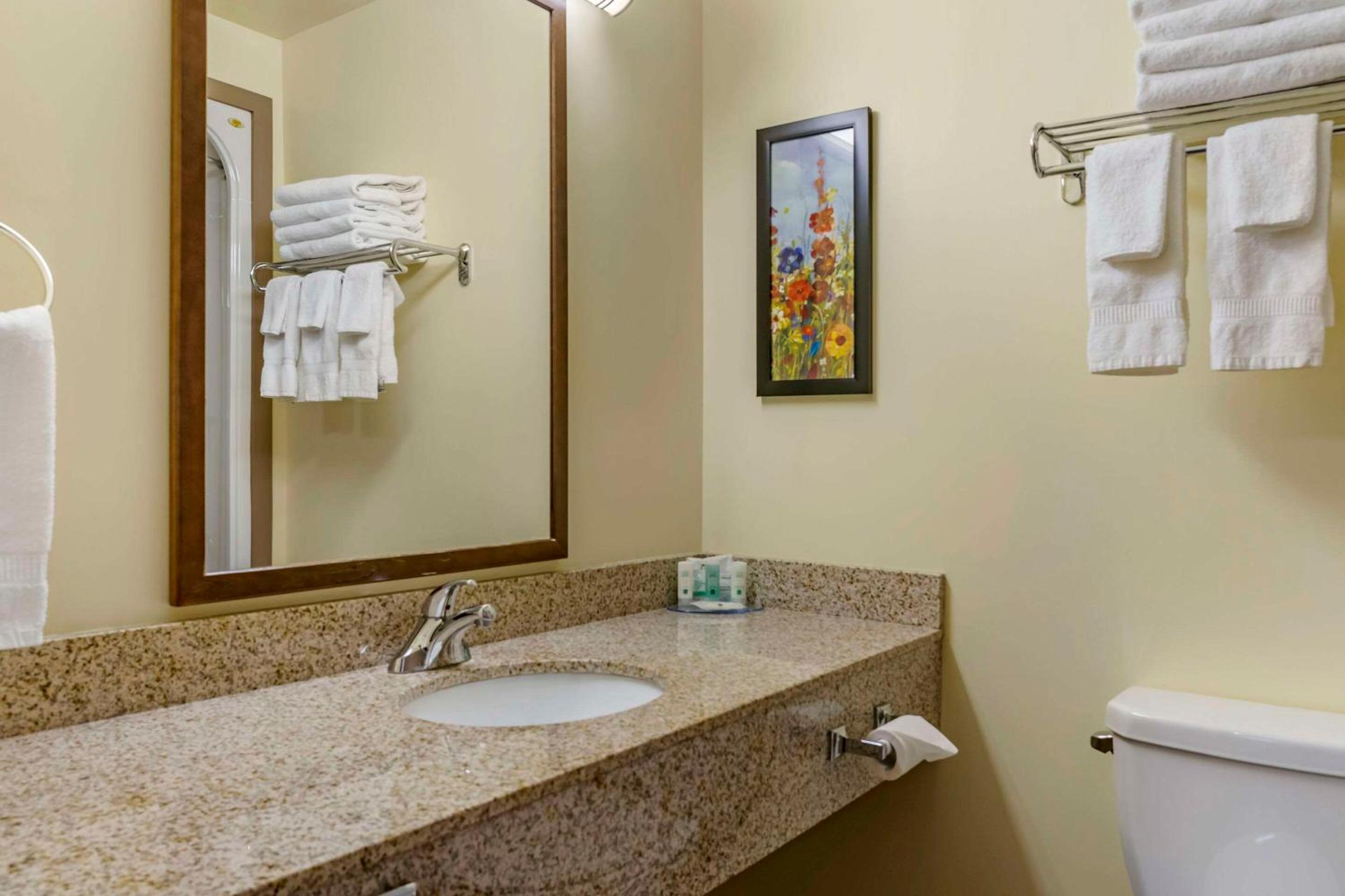 King Suite - Non-Smoking photo 2