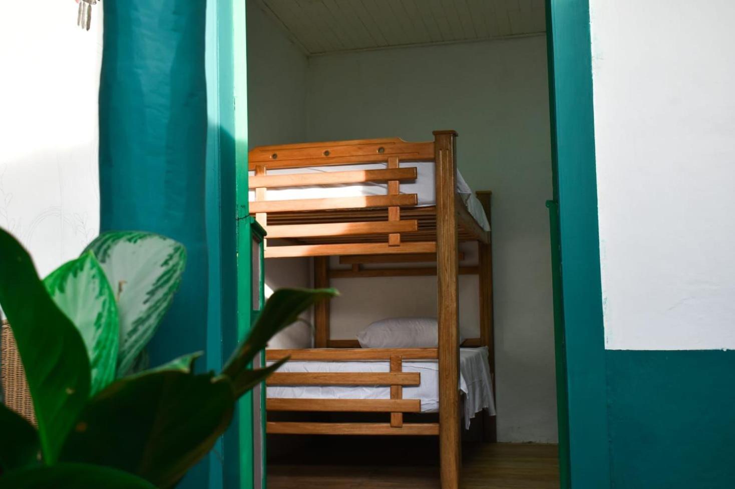 Single Bed in Female Dormitory Room photo 1