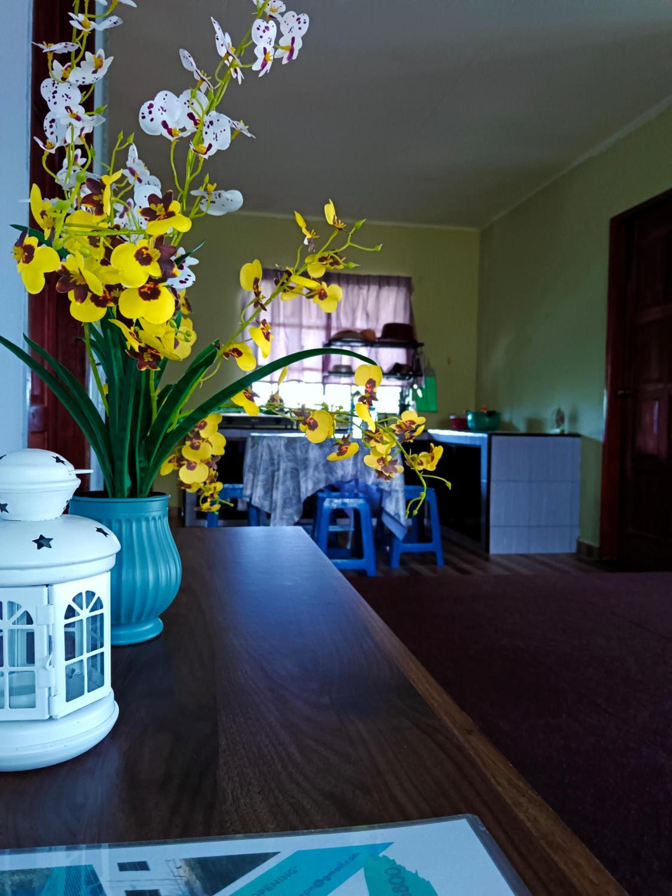 Two-Bedroom House photo 1