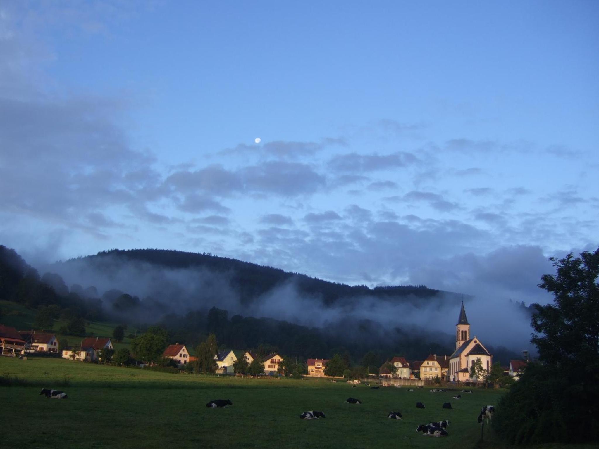Chalet photo 1