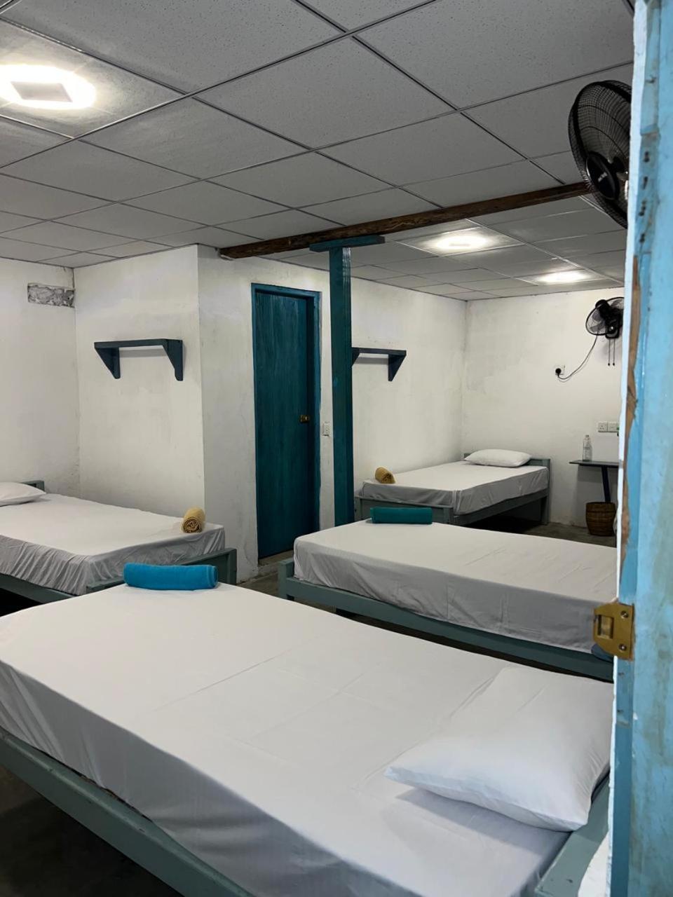 Bed In 6-Bed Mixed Dormitory Room photo 3