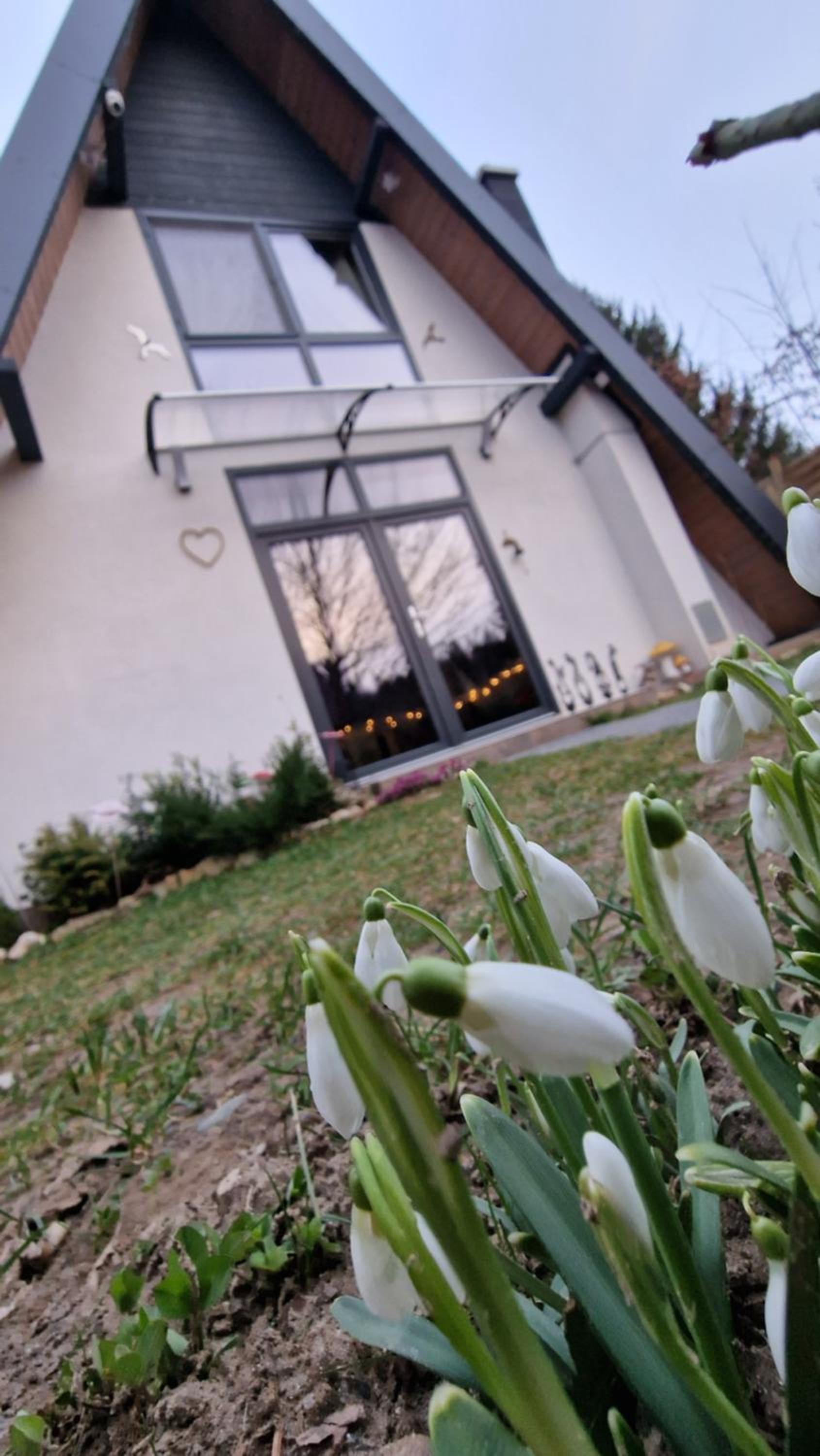 Vacation Home photo 2