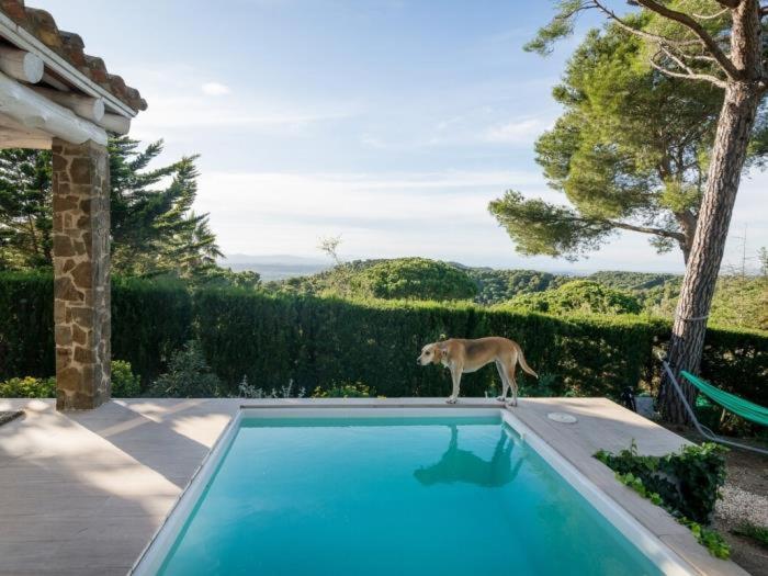 Casa de Vacaciones