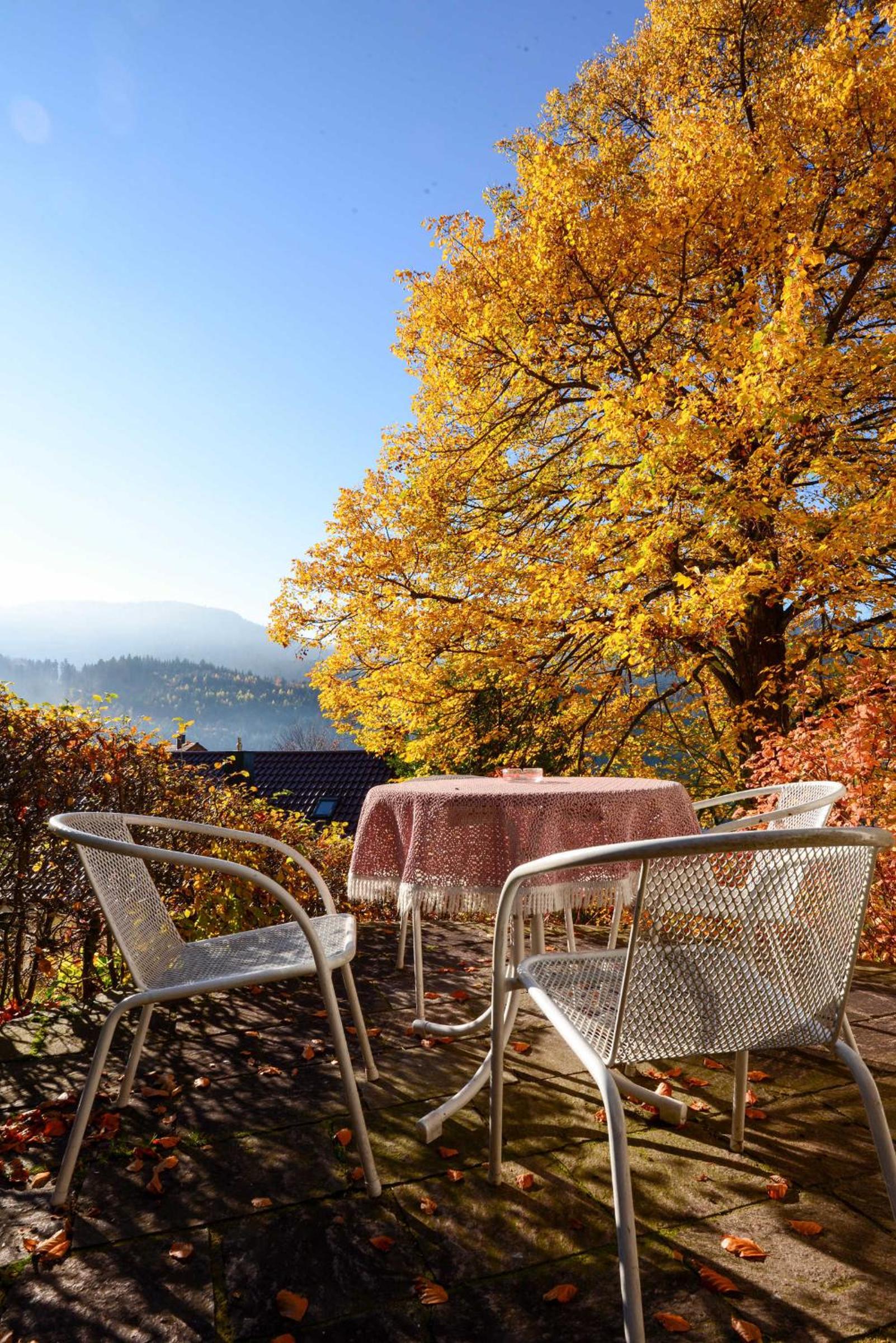 One-Bedroom Apartment with Balcony and Terrace photo 3