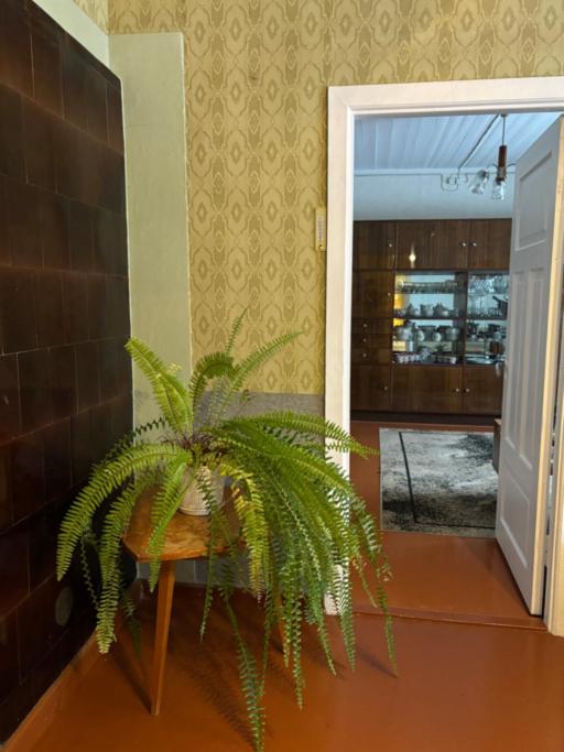 Two-Bedroom House photo 3