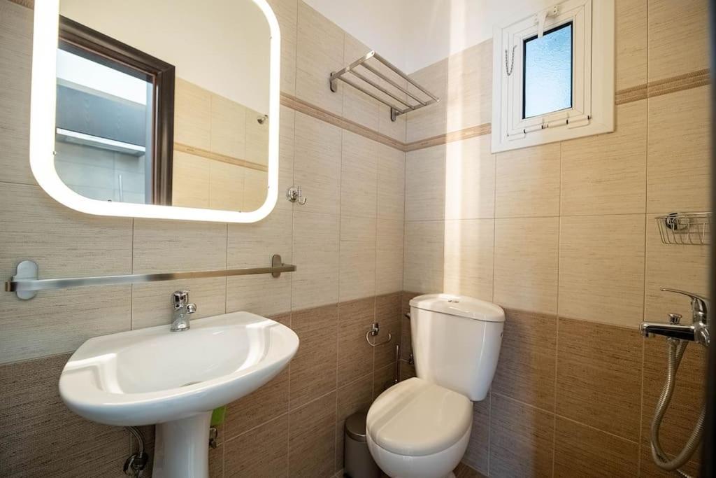 One-Bedroom Apartment photo 3