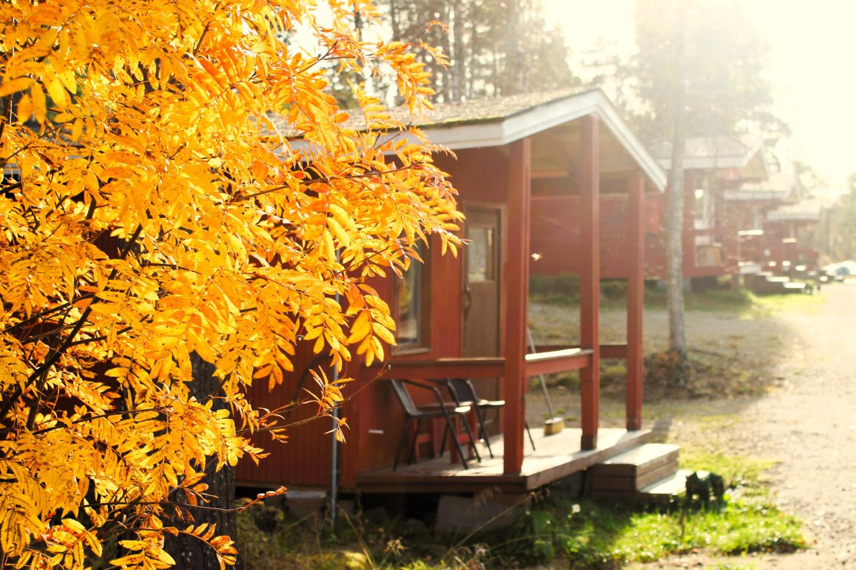 Cottage 9 photo 2