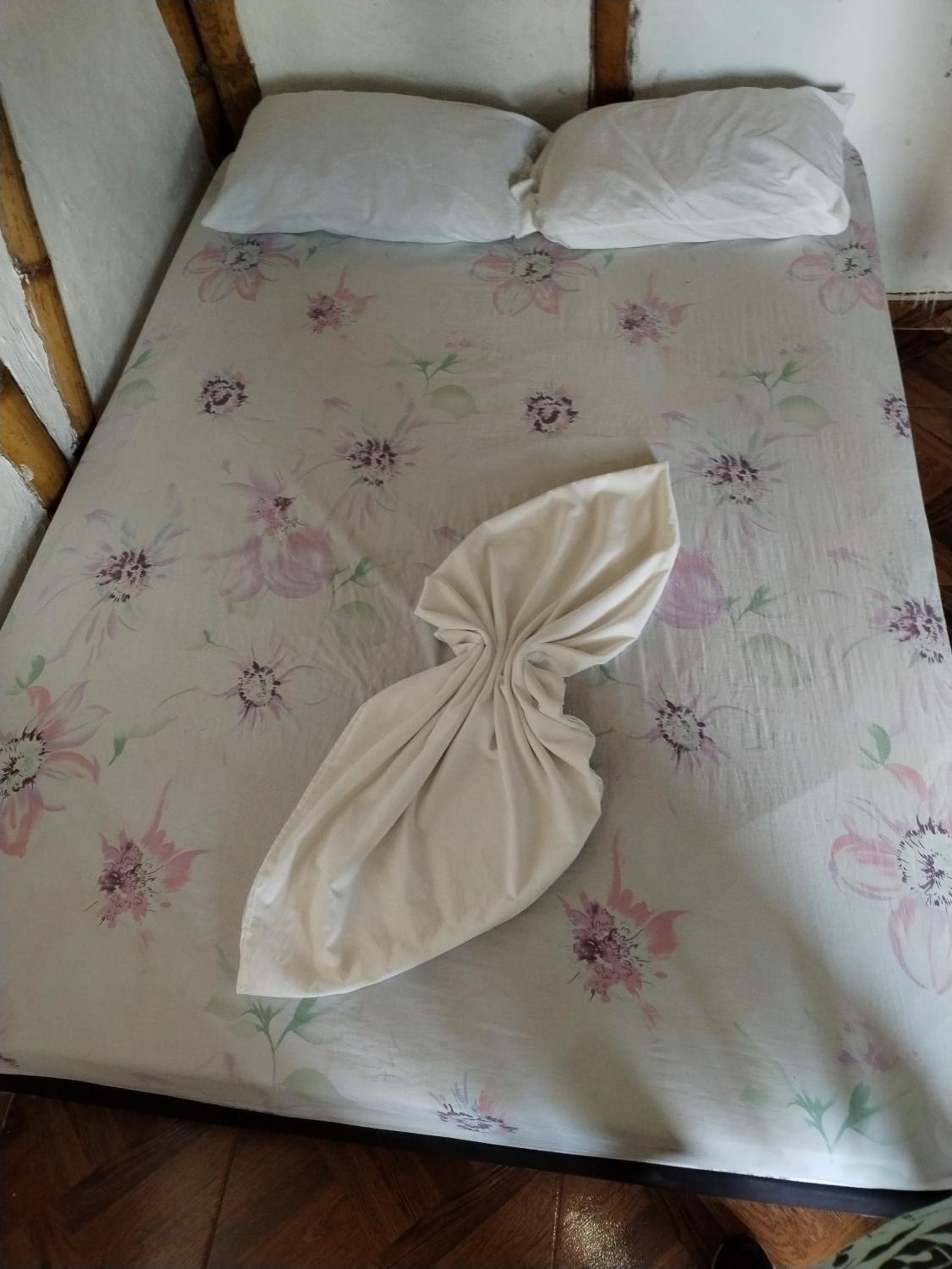 Standard Quadruple Room photo 2
