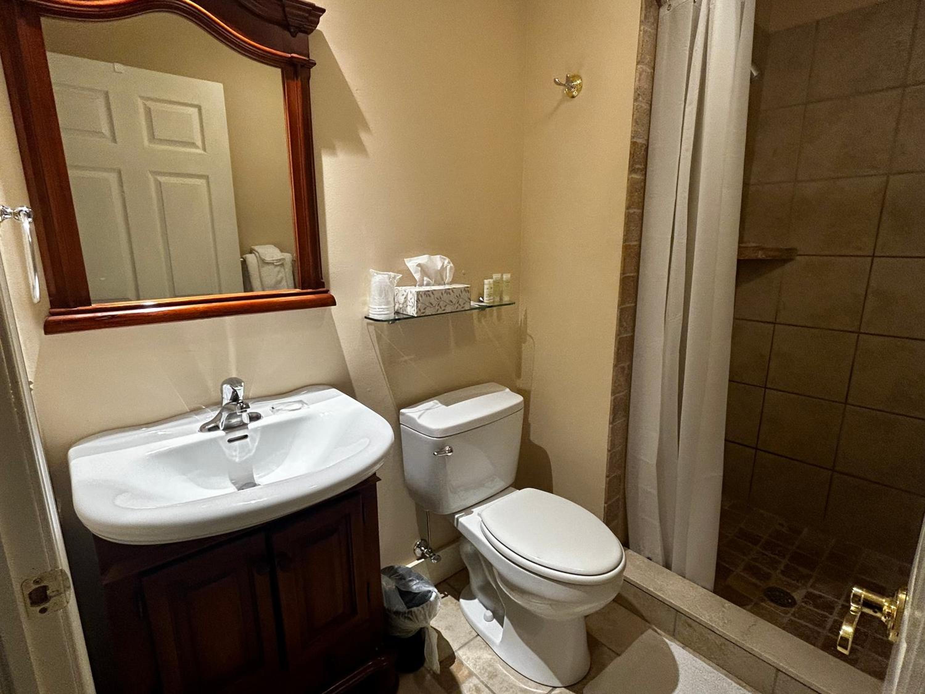 Deluxe King Room - Photo 2