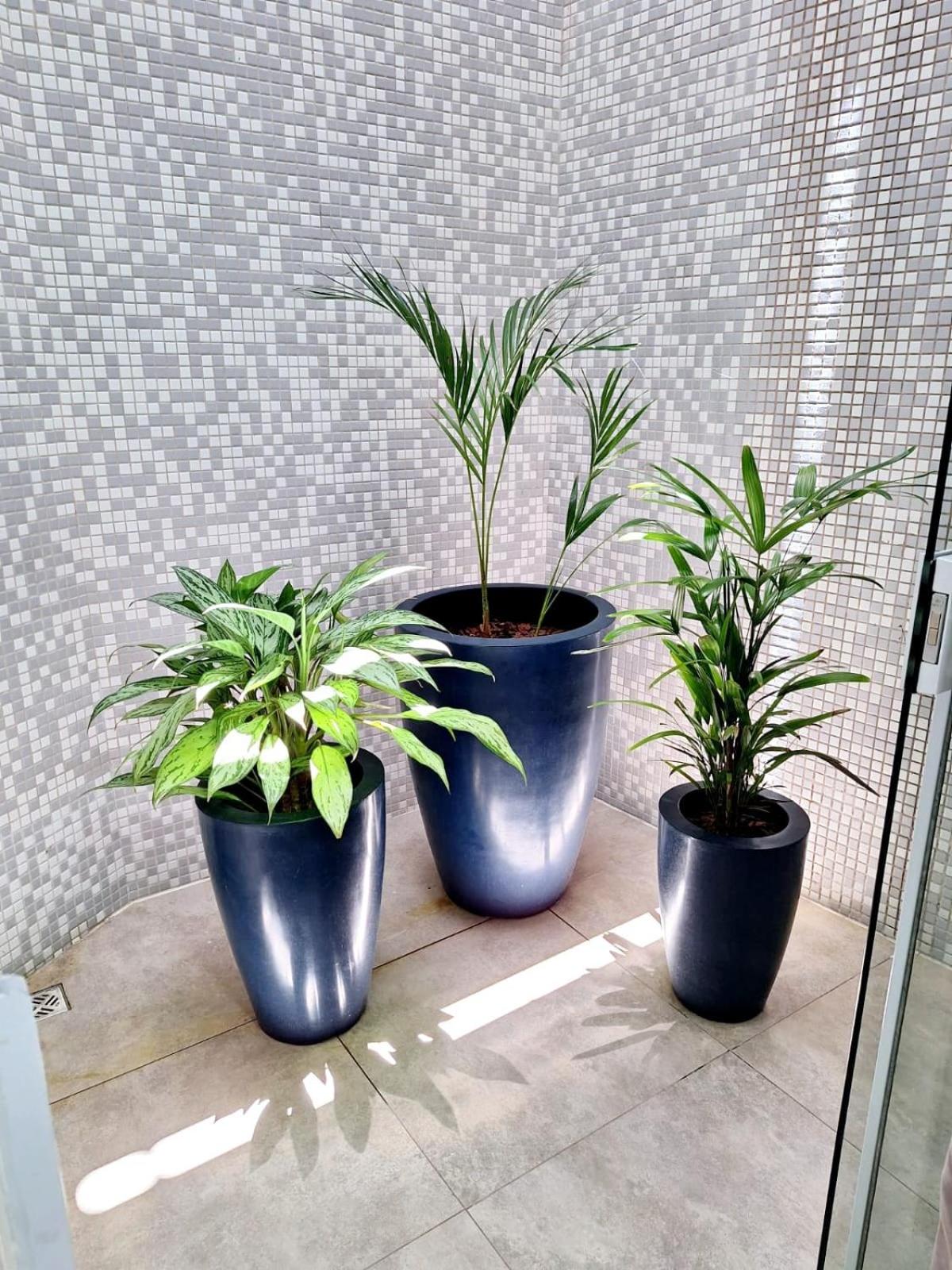 Double Room With Garden View photo 3