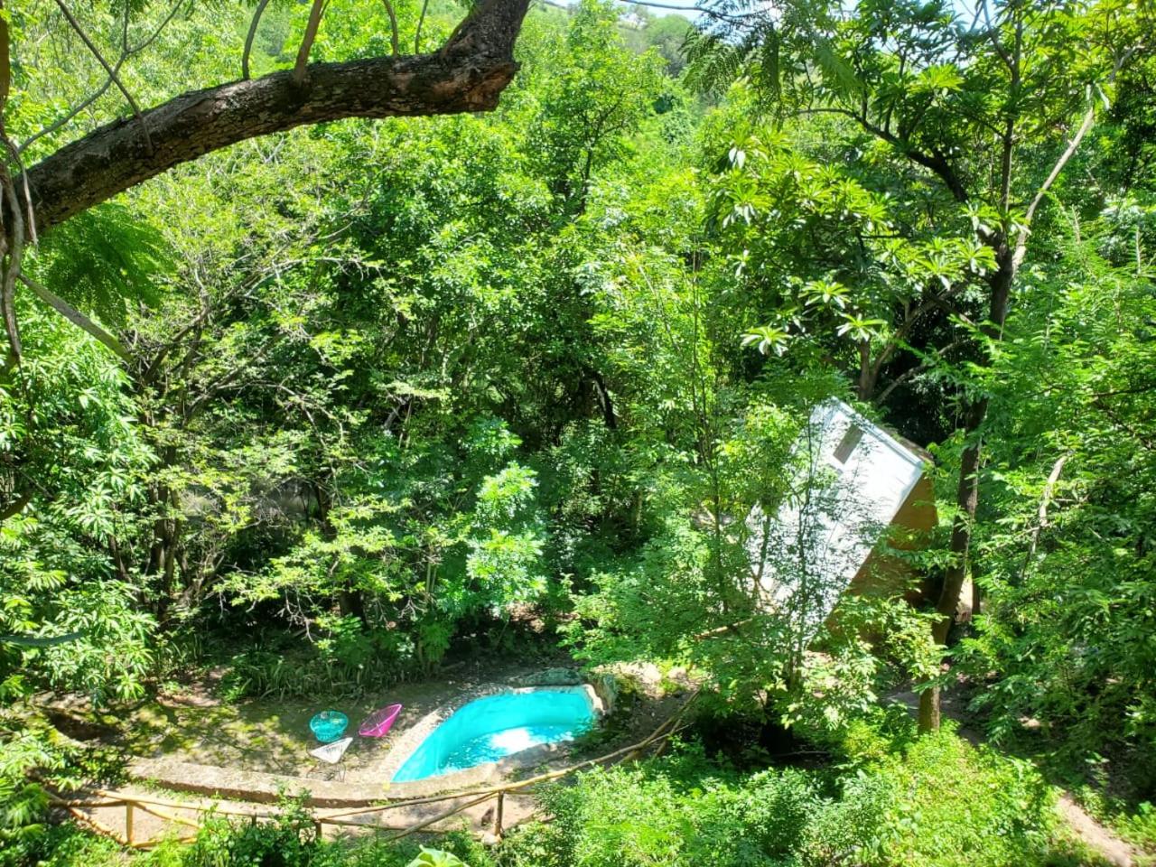 Double Room with Mountain View photo 3
