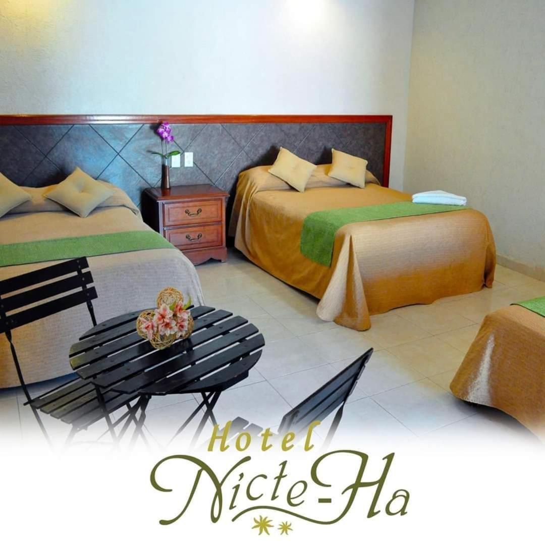 Standard Double or Twin Room - Photo 9