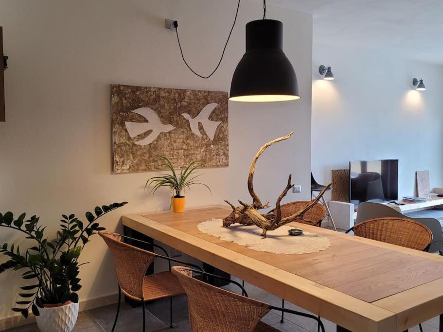 Apartment With Terrace photo 2