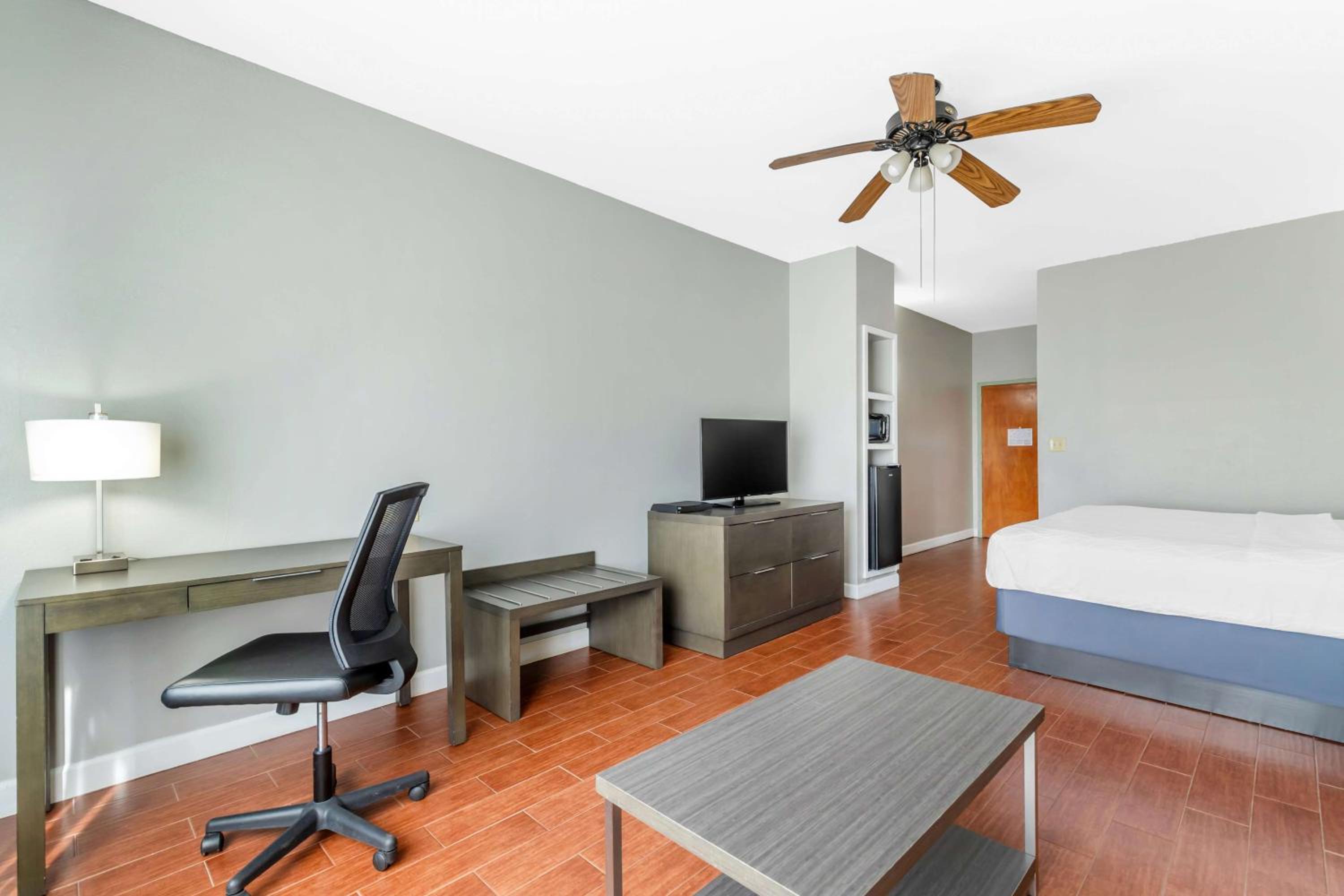 King Room - Disability Access photo 3
