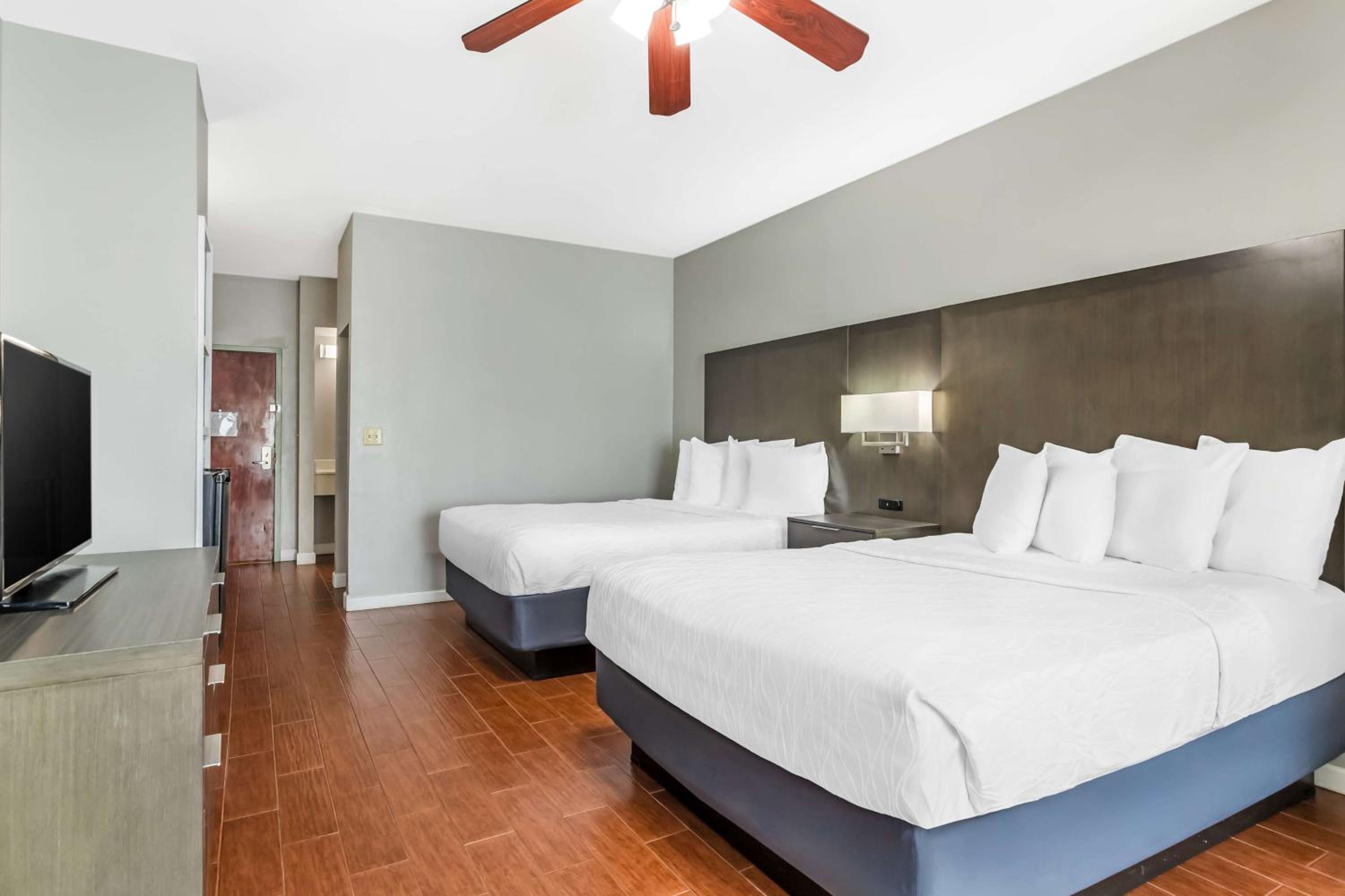 Queen Room with Two Queen Beds with Roll-In Shower - Mobility Access photo 3