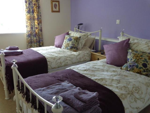 Deluxe Twin Room photo 1