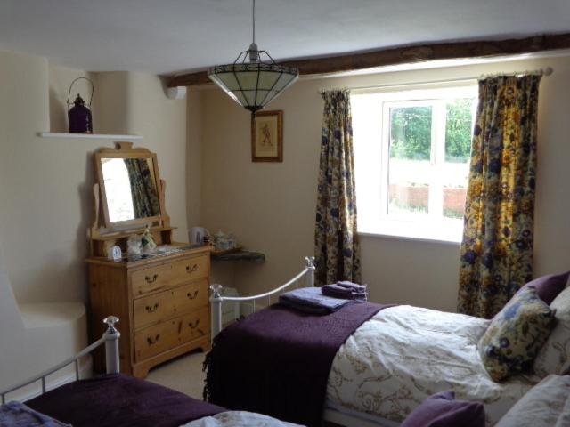 Deluxe Twin Room photo 2
