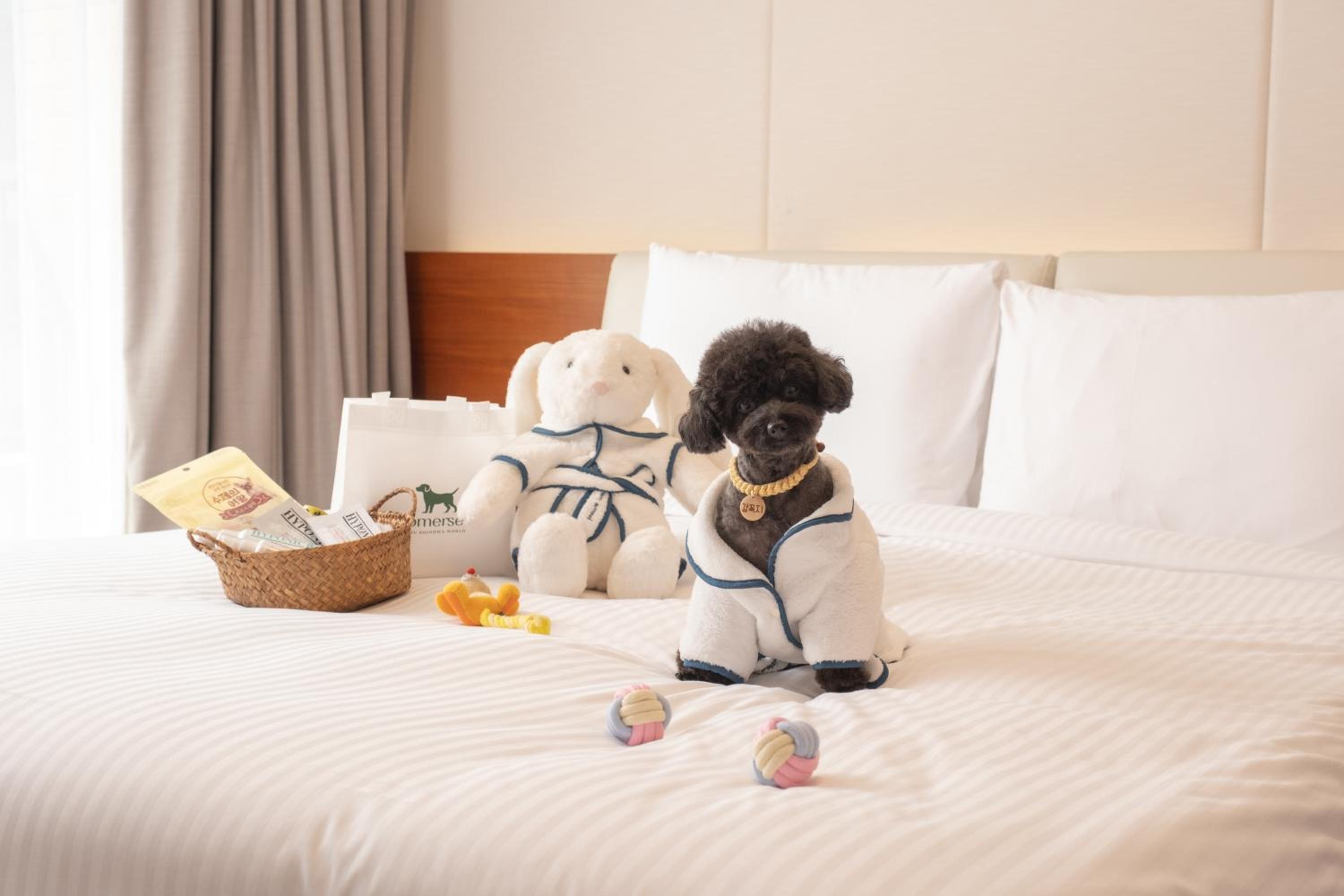 Pet Friendly Room + Breakfast for 4