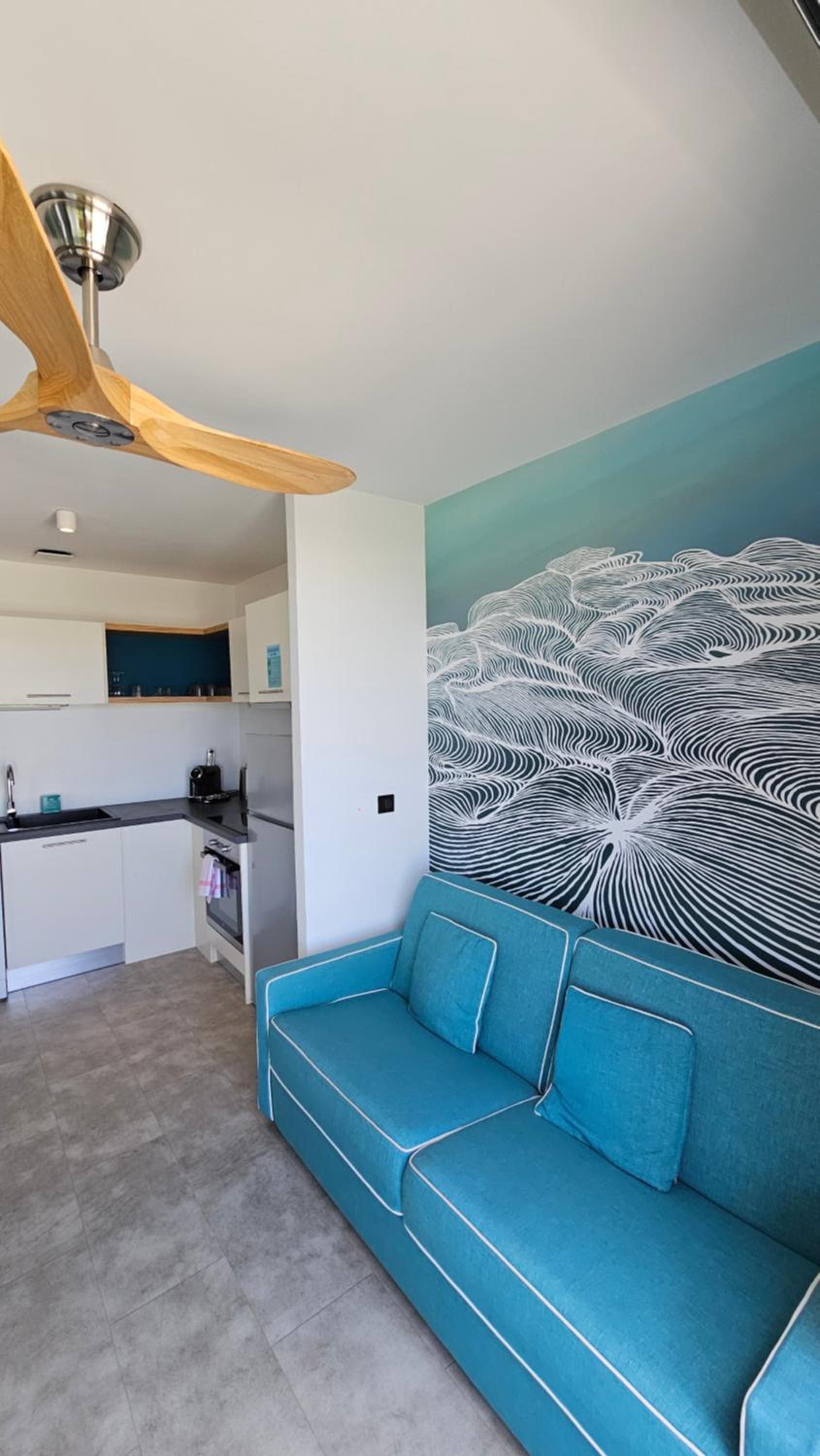 Appartement Grand Studio