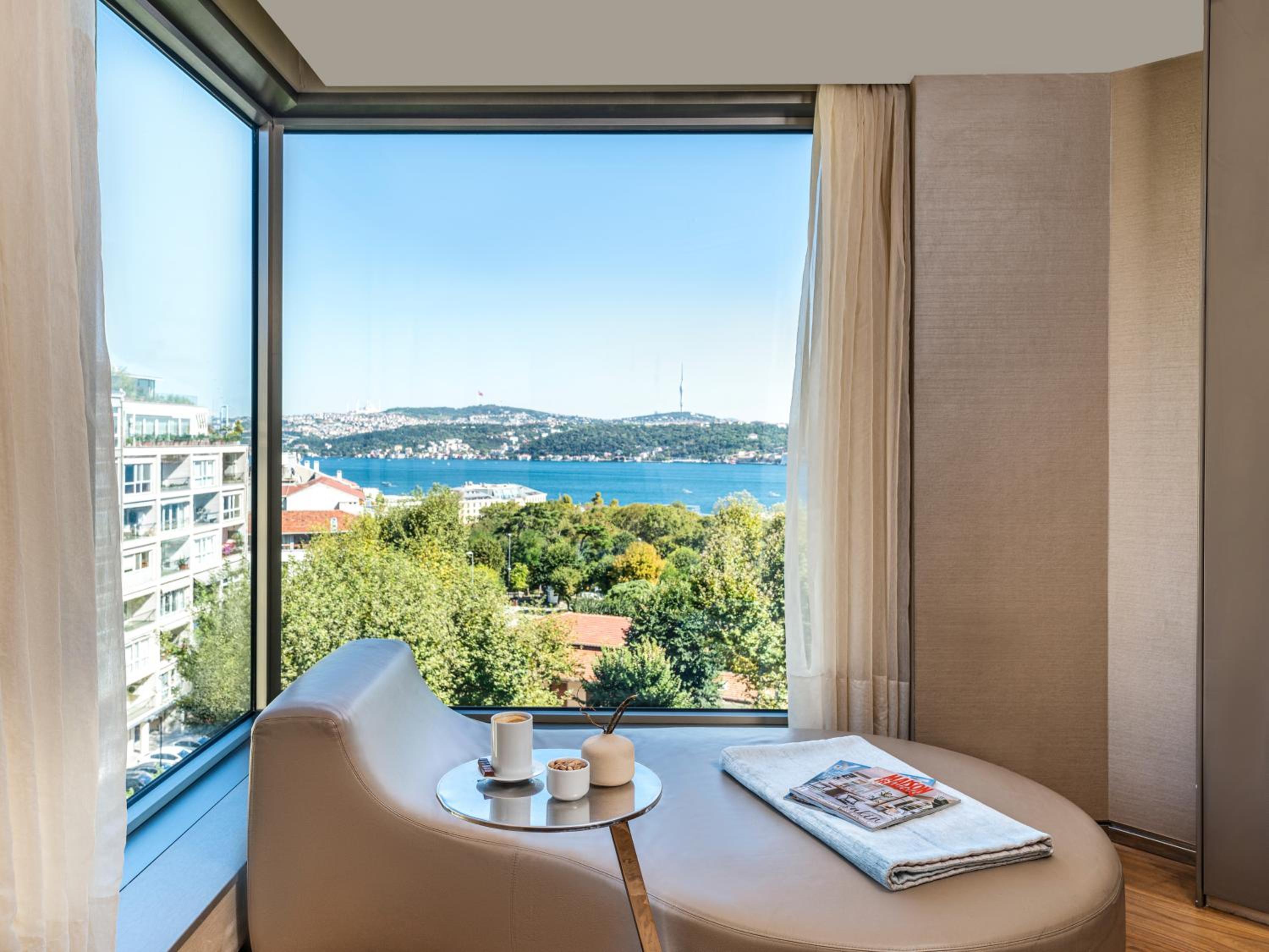 Residence One-Bedroom Bosphorus View