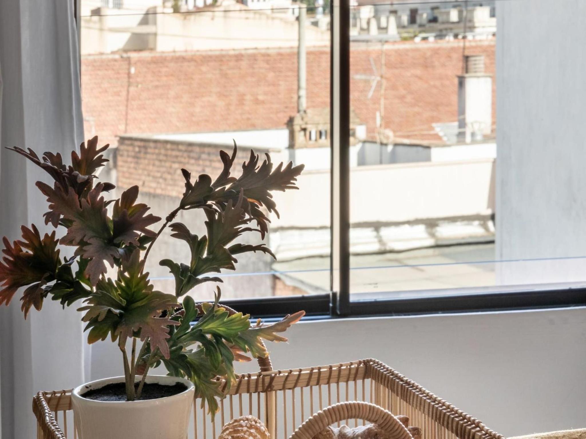 Penthouse Apartment photo 2