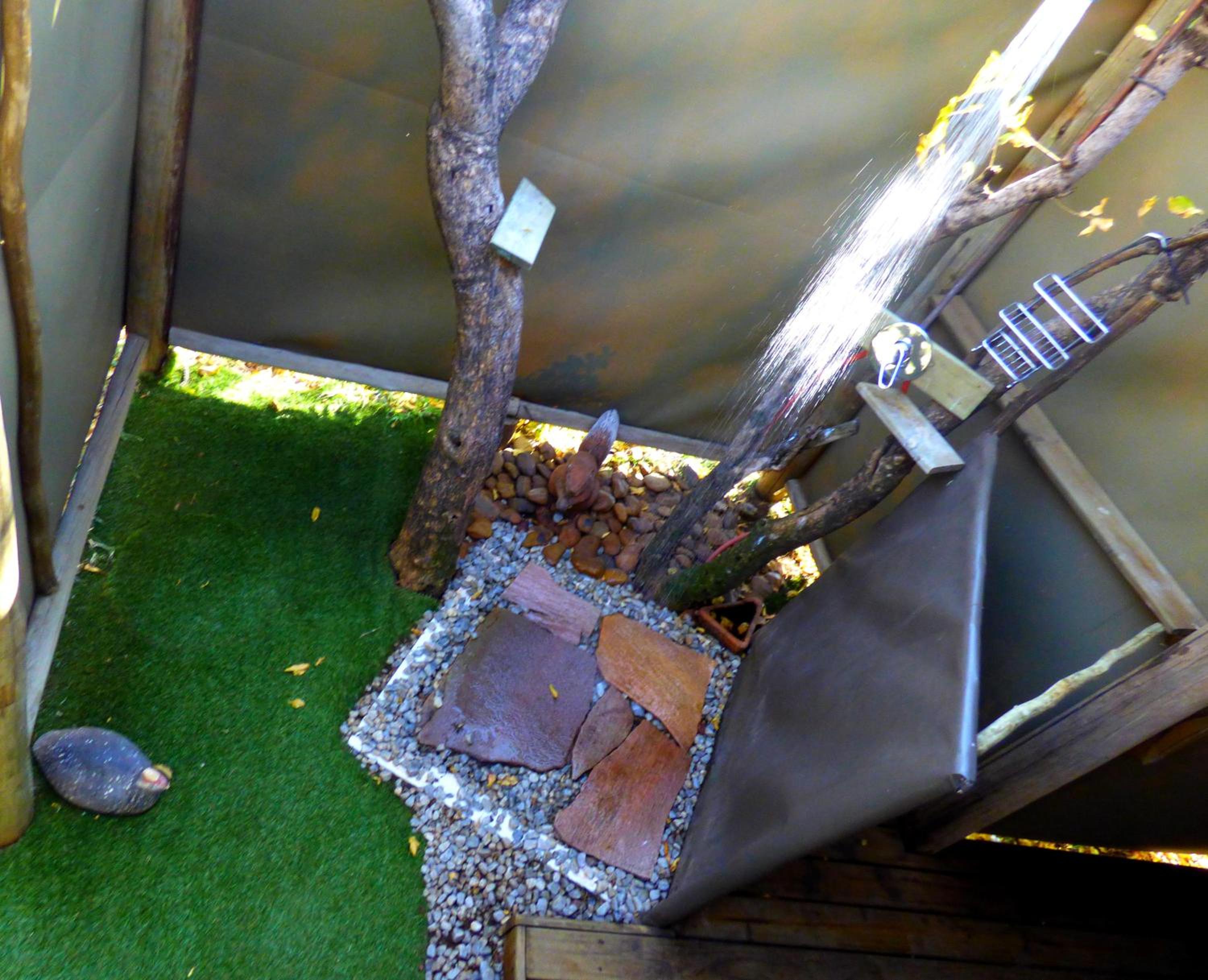 Tent photo 2