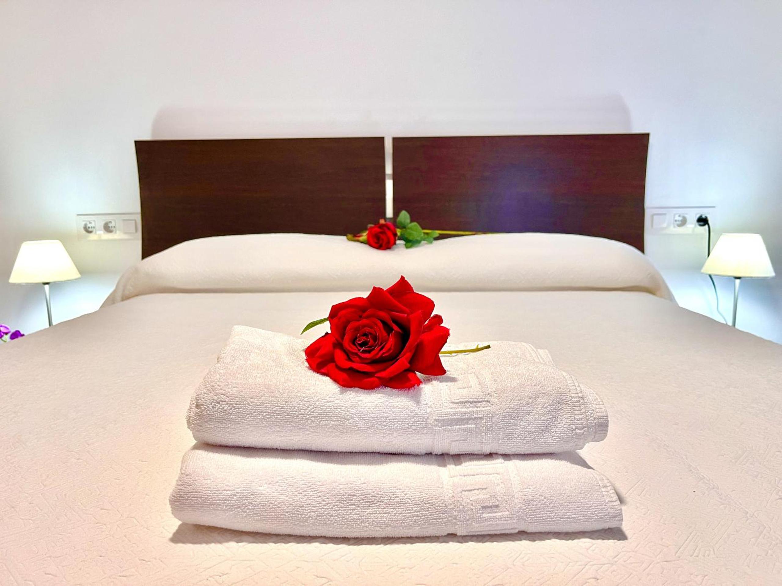 Apartamento - Planta Baja
