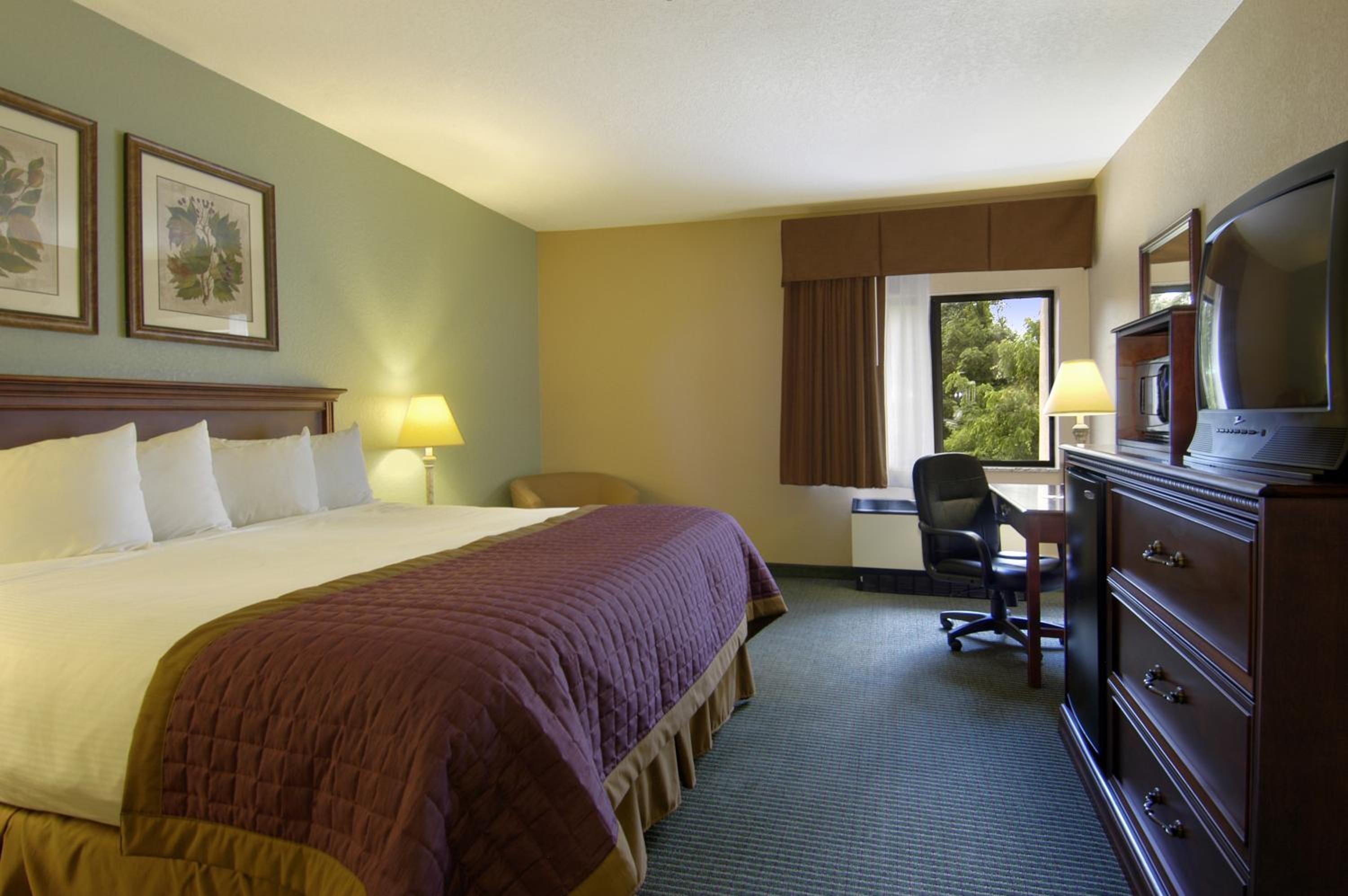 King Room - Non-Smoking - Photo 1